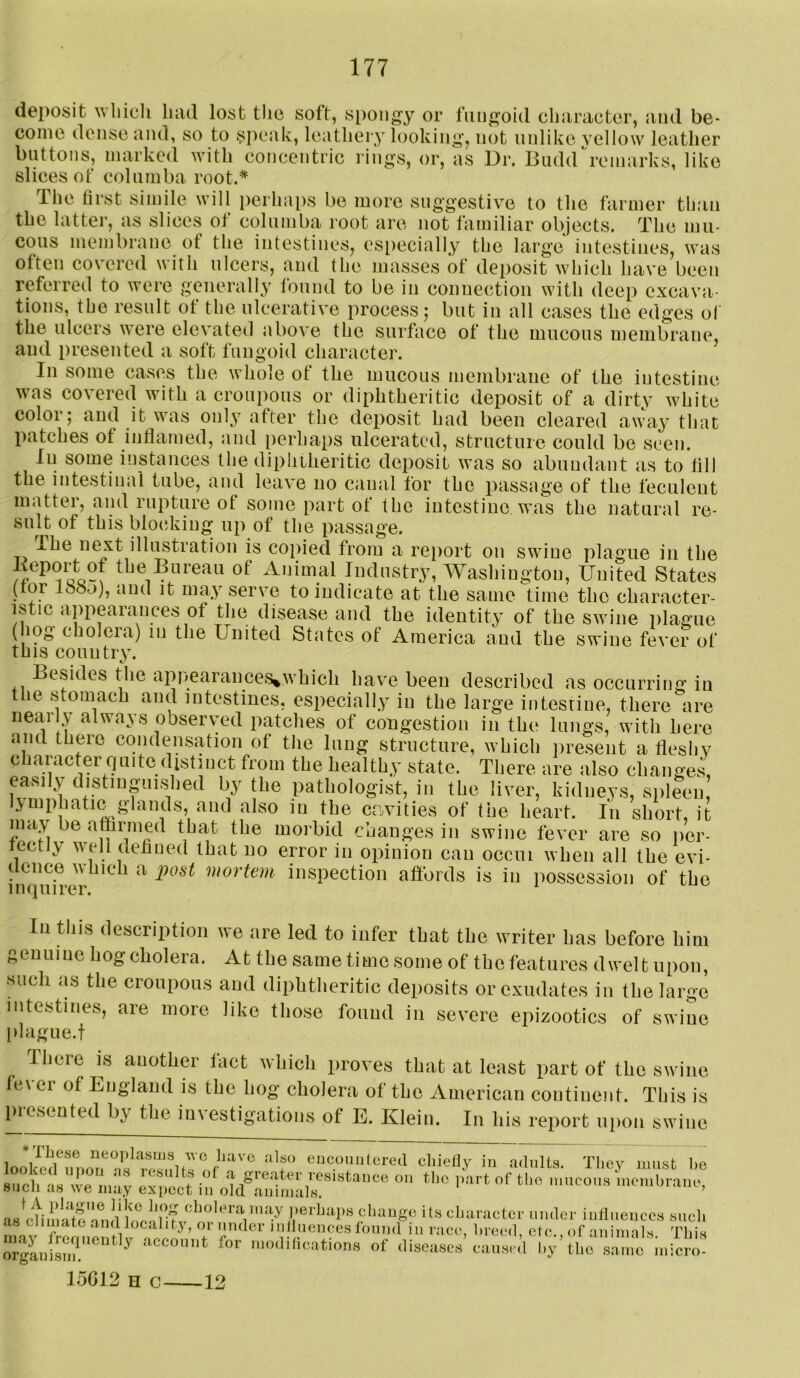 deposit which had lost the soft, spongy or fungoid character, and be- come dense and, so to speak, leathery looking, not unlike vellow leather buttons, marked with concentric rings, or, as Dr. Budd^'cmarks, like slices of columba root.'* The lirst simile will perhaps be more suggestive to the farmer th.an the latter, as slices of columba root are not familiar objects. The mu- cous membrane of the intestines, esiiecially the large intestines, was often covered with ulcers, and the masses of deposit which have been referred to were generally found to be in connection with deep excava- tions, the result of the ulcerative process; but in all cases the edges ol the ulcers were elevated above the surface of the mucous membrane, and presented a soft fungoid character. In some cases the whole of the mucous membrane of the intestine was covered with a croupous or diphtheritic deposit of a dirty white color; and it was only after the deposit had been cleared away that patches of inflamed, and perhaps ulcerated, structure could be seen. in some instances the diphtheritic deposit was so abundant as to fill the intestinal tube, and leave no canal for the j^assage of the feculent matter, and rupture of some part of the intestine was the natural re- sult of this blocking up of the passage. Ihe next illustration is copied from a re})ort on swine plague in the of Animal Industry, Washington, United States (tor looj), and it may serve to indicate at the same time the character- istic appearances of the disease and the identity of the swine plague ( log choleia) in the United States of America and the swine fever of this country. Besides the appearances^which have been described as occurring in t le sdomach and intestines, especially in the large intestine, there are nearly always observed patches of congestion in the lungs, with here and there condensation of the lung structure, which jiresent a fleshy character quite (Ustiuct from the healthy state. There are also changes, easily (listiugiiished by the pathologist, in the liver, kidneys, snleen, emphatic glands, and also in the cavities of the heart. In short, it may be affirmed that the morbid changes in swine fever are so iier- tectly well deflned that no error in opinion can occui when all the evi- dence which a ijost mortem inspection affords is in possession of the inquirer. In this description we are led to infer that the writer has before him genuine hog cholera. At the same time some of the features dwelt upon, such as the croupous and diphtheritic deposits or exudates in the large intestines, are more like those found in severe epizootics of swine l)lague.t There is another fact which proves that at least part of the swine fever of England is the hog cholera of the American continent. This is presented by the investigations of E. Klein. In his report upon swine ILese neoplasms wc liave also euconnlcred cliielly in adults. Thev must be sucKs'we m^^ a greater resistaucc ou the ])artof the m’ucous membraue, SUCH as ^^e may expect lu old animals. ’ asVmuatl perhaps change i ts character under iulluences such as climate and Jocalit3,oi under inlliieuceslouiid in race, breed, etc. of animals This orgLfsm.”^^^^^^ account for modifications of diseases camsed liy’the same'iuicro- 15G12 H c 12