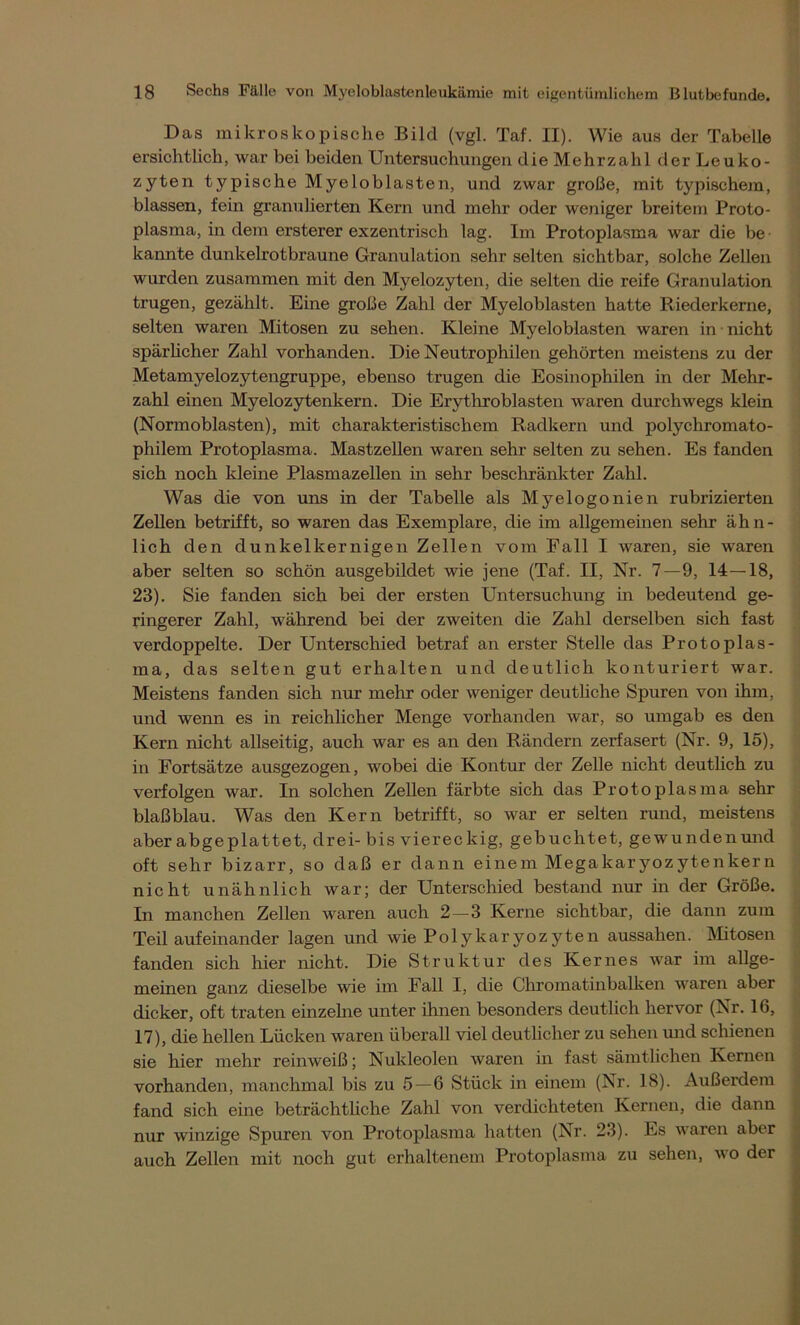 Das mikroskopische Bild (vgl. Taf. II). Wie aus der Tabelle ersichtlich, war bei beiden Untersuchungen die Mehrzahl der Leuko- zyten typische Myeloblasten, und zwar große, mit typischem, blassen, fein granulierten Kern und mehr oder weniger breitem Proto- plasma, in dem ersterer exzentrisch lag. Im Protoplasma war die be kannte dunkelrotbraune Granulation sehr selten sichtbar, solche Zellen wurden zusammen mit den Myelozyten, die selten die reife Granulation trugen, gezählt. Eine große Zahl der Myeloblasten hatte Riederkerne, selten waren Mitosen zu sehen. Kleine Myeloblasten waren in nicht spärlicher Zahl vorhanden. Die Neutrophilen gehörten meistens zu der Metamyelozytengruppe, ebenso trugen die Eosinophilen in der Mehr- zahl einen Myelozytenkern. Die Erythroblasten waren durchwegs klein (Normoblasten), mit charakteristischem Radkern und polychromato- philem Protoplasma. Mastzellen waren sehr selten zu sehen. Es fanden sich noch kleine Plasmazellen in sehr beschränkter Zahl. Was die von uns in der Tabelle als Myelogonien rubrizierten Zellen betrifft, so waren das Exemplare, die im allgemeinen sehr ähn- lich den dunkelkernigen Zellen vom Fall I waren, sie waren aber selten so schön ausgebildet wie jene (Taf. II, Nr. 7—9, 14—18, 23). Sie fanden sich bei der ersten Untersuchung in bedeutend ge- ringerer Zahl, während bei der zweiten die Zahl derselben sich fast verdoppelte. Der Unterschied betraf an erster Stelle das Protoplas- ma, das selten gut erhalten und deutlich konturiert war. Meistens fanden sich nur mehr oder weniger deutliche Spuren von ihm, und wenn es in reichlicher Menge vorhanden war, so umgab es den Kern nicht allseitig, auch war es an den Rändern zerfasert (Nr. 9, 15), in Fortsätze ausgezogen, wobei die Kontur der Zelle nicht deutlich zu verfolgen war. In solchen Zellen färbte sich das Protoplasma sehr blaß blau. Was den Kern betrifft, so war er selten rund, meistens aber abgeplattet, drei- bis viereckig, gebuchtet, gewundenund oft sehr bizarr, so daß er dann einem Megakaryozytenkern nicht unähnlich war; der Unterschied bestand nur in der Größe. In manchen Zellen waren auch 2 — 3 Kerne sichtbar, die dann zum Teil aufeinander lagen und wie Polykaryozyten aussahen. Mitosen fanden sich hier nicht. Die Struktur des Kernes war im allge- meinen ganz dieselbe wie im Fall I, die Chromatinbalken waren aber dicker, oft traten einzelne unter ihnen besonders deutlich hervor (Ar. 16, 17), die hellen Lücken waren überall viel deutlicher zu sehen und schienen sie hier mehr reinweiß; Nukleolen waren in fast sämtlichen Kernen vorhanden, manchmal bis zu 5 — 6 Stück in einem (Nr. 18). Außerdem fand sich eine beträchtliche Zahl von verdichteten Kernen, die dann nur winzige Spuren von Protoplasma hatten (Nr. 23). Es waren aber auch Zellen mit noch gut erhaltenem Protoplasma zu sehen, wo der