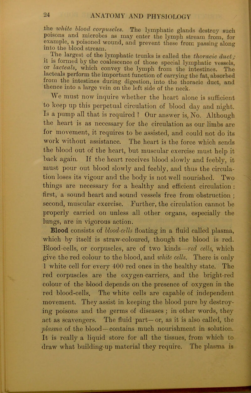 the white blood corpuscles. The lymphatic glands destroy such poisons and microbes as may enter the lymph stream from, for example, a poisoned wound, and prevent these from passing along into the blood stream. . largest of the lymphatic trunks is called the thoracic duct; it is formed by the coalescence of those special lymphatic vessels, or lacteals, which convey the lymph from the intestines. The lacteals perform the important function of carrying the fat, absorbed from the intestines during digestion, into the thoracic duct, and thence into a large vein on the left side of the neck. We must now inquire whether the heart alone is sufficient to keep up this perpetual circulation of blood day and night. Is a pump all that is required ? Our answer is, No. Although the heart is as necessary for the circulation as our limbs are for movement, it requires to be assisted, and could not do its work without assistance. The heart is the force which sends the blood out of the heart, but muscular exercise must help it back again. If the heart receives blood slowly and feebly, it must pour out blood slowly and feebly, and thus the circula- tion loses its vigour and the body is not well nourished. Two things are necessary for a healthy and efficient circulation : first, a sound heart and sound vessels free from obstruction ; second, muscular exercise. Further, the circulation cannot be properly carried on unless all other organs, especially the lungs, are in vigorous action. Blood consists of blood-cells floating in a fluid called plasma, which by itself is straw-coloured, though the blood is red. Blood-cells, or corpuscles, are of two kinds—red cells, which give the red colour to the blood, and white cells. There is only 1 white cell for every 400 red ones in the healthy state. The red corpuscles are the oxygen-carriers, and the bright-red colour of the blood depends on the presence of oxygen in the red blood-cells. The white cells are capable of independent movement. They assist in keeping the blood pure by destroy- ing poisons and the germs of diseases ; in other words, the}^ act as scavengers. The fluid part— or, as it is also called, the plasma of the blood—contains much nourishment in solution. It is really a liquid store for all the tissues, from which to draw what building-up material they require. The plasma is