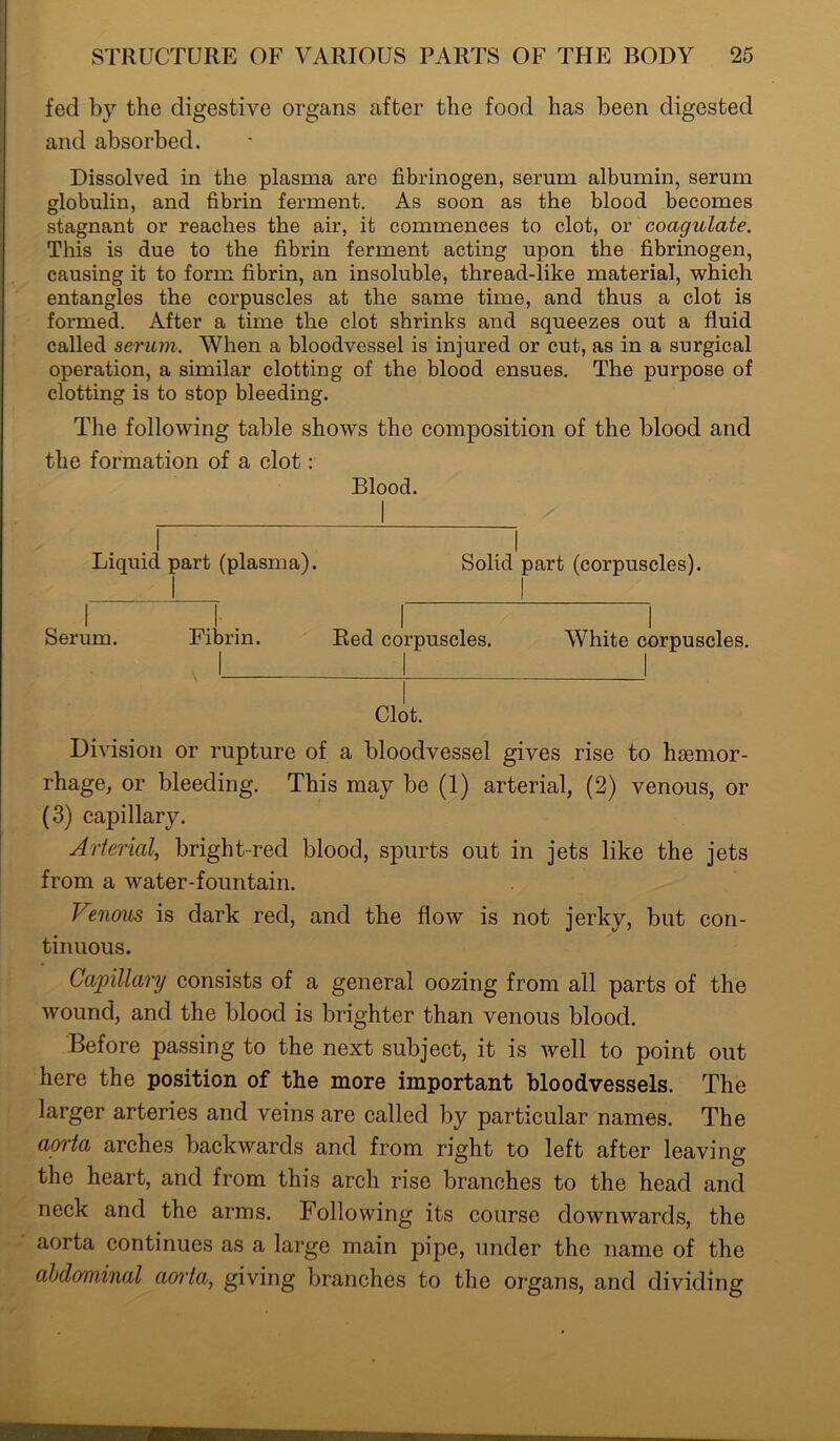 fed by the digestive organs after the food has been digested and absorbed. Dissolved in the plasma are fibrinogen, serum albumin, serum globulin, and fibrin ferment. As soon as the blood becomes stagnant or reaches the air, it commences to clot, or coagulate. This is due to the fibrin ferment acting upon the fibrinogen, causing it to form fibrin, an insoluble, thread-like material, which entangles the corpuscles at the same time, and thus a clot is formed. After a time the clot shrinks and squeezes out a fluid called serum. When a bloodvessel is injured or cut, as in a surgical operation, a similar clotting of the blood ensues. The purpose of clotting is to stop bleeding. The following table shows the composition of the blood and the formation of a clot: Blood. Liquid part (plasma). Solid part (corpuscles). Serum. Fibrin. Red corpuscles. White corpuscles. Clot. Division or rupture of a bloodvessel gives rise to haemor- rhage, or bleeding. This may be (1) arterial, (2) venous, or (3) capillary. Arterial, bright-red blood, spurts out in jets like the jets from a water-fountain. Venous is dark red, and the flow is not jerky, but con- tinuous. Capillary consists of a general oozing from all parts of the wound, and the blood is brighter than venous blood. Before passing to the next subject, it is well to point out here the position of the more important bloodvessels. The larger arteries and veins are called by particular names. The aorta arches backwards and from right to left after leaving the heart, and from this arch rise branches to the head and neck and the arms. Following its course downwards, the aorta continues as a large main pipe, under the name of the abdominal aorta, giving branches to the organs, and dividing