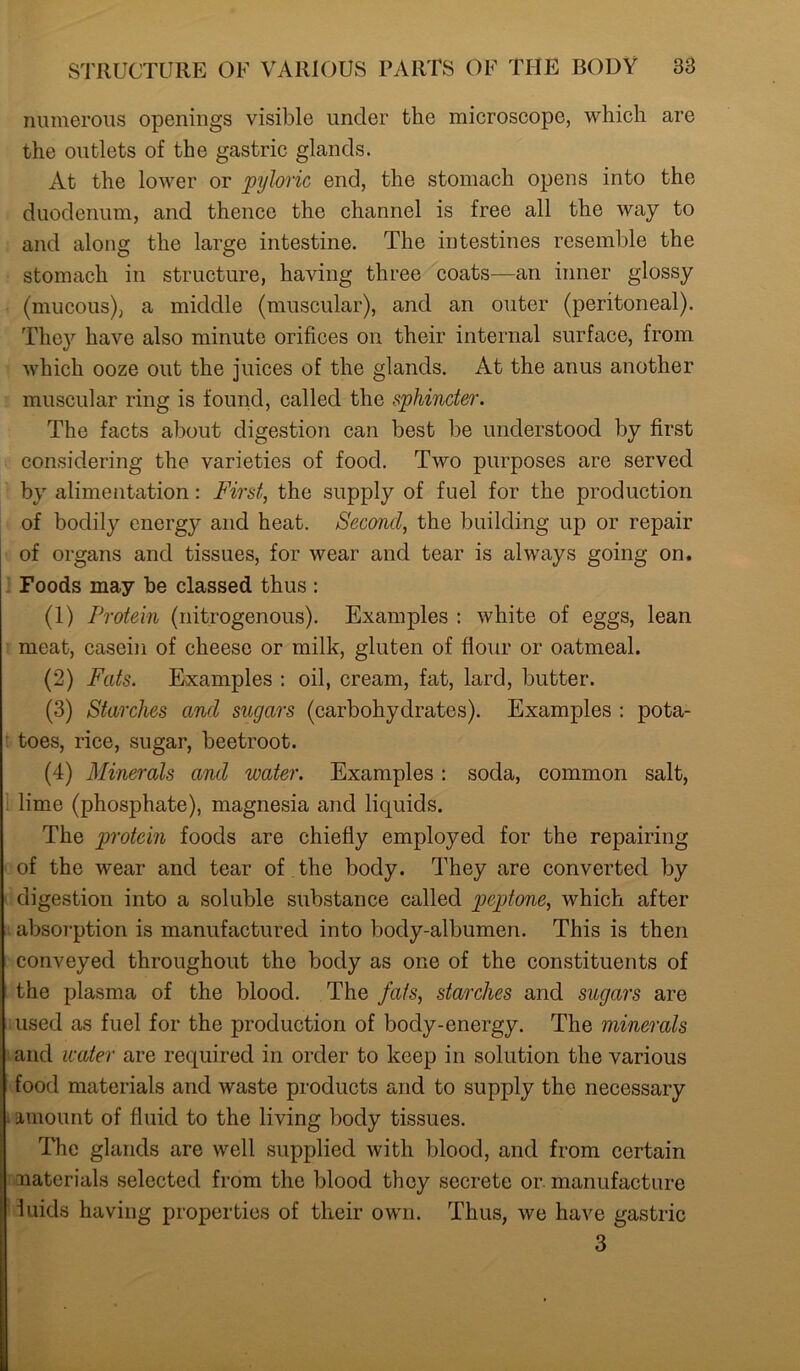numerous openings visible under the microscope, which are the outlets of the gastric glands. At the lower or pyloric end, the stomach opens into the duodenum, and thence the channel is free all the way to and along the large intestine. The intestines resemble the stomach in structure, having three coats—an inner glossy (mucous), a middle (muscular), and an outer (peritoneal). They have also minute orifices on their internal surface, from which ooze out the juices of the glands. At the anus another muscular ring is found, called the sphincter. The facts about digestion can best be understood by first considering the varieties of food. Two purposes are served by alimentation: First, the supply of fuel for the production of bodily energy and heat. Second, the building up or repair of organs and tissues, for wear and tear is always going on. Foods may be classed thus : (1) Protein (nitrogenous). Examples : white of eggs, lean meat, casein of cheese or milk, gluten of flour or oatmeal. (2) Fats. Examples : oil, cream, fat, lard, butter. (3) Starches and sugars (carbohydrates). Examples : pota- toes, rice, sugar, beetroot. (4) Minerals and water. Examples: soda, common salt, lime (phosphate), magnesia and liquids. The protein foods are chiefly employed for the repairing of the wear and tear of the body. They are converted by digestion into a soluble substance called peptone, which after absorption is manufactured into body-albumen. This is then conveyed throughout the body as one of the constituents of the plasma of the blood. The fats, starches and sugars are used as fuel for the production of body-energy. The minerals and water are required in order to keep in solution the various food materials and waste products and to supply the necessary amount of fluid to the living body tissues. The glands are well supplied with blood, and from certain materials selected from the blood they secrete or manufacture luids having properties of their own. Thus, we have gastric 3