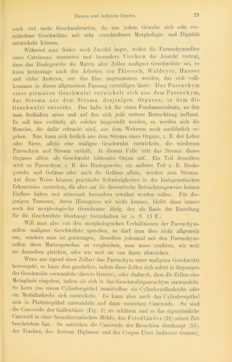 noch viel mehr Geschwulstarten, da aus jedem Gewebe sich sehr ver- schiedene Geschwülste mit sehr verschiedener Morphologie und Dignität entwickeln können. Während man früher noch Zweifel hegte, woher die Parenchym zellen eines Carcinoms stammten und besonders Virchow die Ansicht vertrat, dass das Bindegewebe die Matrix aller Zellen maligner Geschwülste sei, so kann heutzutage nach den Arbeiten von Thiersch, Waldeyer, Hauser und vieler Anderen, nur das Eine angenommen werden, das sich voll- kommen in dieser allgemeinen Fassung verteidigen lässt: Das Parenchym einer primären Geschwulst entwickelt sich aus dem Parenchym, das Stroma aus dem Stroma desjenigen Organes, in dem die Geschwulst entsteht. Das halte ich für einen Fundamentalsatz, an den man festhalten muss und auf den sich jede weitere Betrachtung aufbaut. Er soll hier vorläufig als solcher hingestellt werden, es werden sich die Beweise, die dafür erbracht sind, aus dem Weiteren noch ausführlich er- geben. Nun kann sich freilich aus dem Stroma eines Organs, z. B. der Leber oder Niere, allein eine maligne Geschwulst entwickeln, die wiederum Parenchym und Stroma enthält. In diesem Falle tritt das Stroma dieses Organes allein als Geschwulst bildendes Organ auf. Ein Teil desselben wird zu Parenchym z. B. das Bindegewebe, ein anderer Teil z. 13. Binde- gewebe und Gefässe oder auch die Gefässe allein, werden zum Stroma, Auf diese Weise können practische Schwierigkeiten in der histogcnetischen Erkenntniss entstehen, die aber auf die theoretische Betrachtungsweise keinen Einfluss haben und seinerzeit besonders erwähnt werden sollen. Für die- jenigen Tumoren, deren Histognese wir nicht kennen, bleibt dann immer noch der morphologische Grundname übrig, der als Basis der Einteilung für die Geschwülste überhaupt festzuhalten ist (s. S. 15 ff.). Will man also von den morphologischen Verhältnissen der Parenchym- zellen maligner Geschwülste sprechen, so darf man dies nicht allgemein tun, sondern man ist gezwungen, dieselben jedesmal mit den Parenchym- zellen ihres Muttergewebes zu vergleichen, man muss studiren, wfle weit sie denselben gleichen, oder wie weit sie von ihnen abweichen. W enn aus irgend einer Zellart das Parenchym einer malignen Geschwulst hervorgeht, so kann dies geschehen, indem diese Zellen sich sofort in diejenigen der Geschwulst verwandeln (directe Genese), oder dadurch, dass die Zellen eine Metaplasie eingehcn, indem sie sich in das Geschw'ulstparenchym umwandeln. So kann aus einem Cylinderepithel unmittelbar ein Cvlinderzelienkrebs oder ein Medullarkrebs sich entwickeln. Es kann aber auch das Cylinderepithel sich in Plattenepithel umwandeln und dann entstehen Cancroide. So sind die Cancroide der Gallenblase (Fig. 2) zu erklären und so das eigentümliche Gancioid in einer bronchiectatischen Höhle, das Friedländer (51) seiner Zeit beschrieben hat. So entstehen die Cancroide der Bronchien überhaupt (55), der 1 rachea, des Antrum Ilighmori und des Corpus Uteri (indirecte Genese),