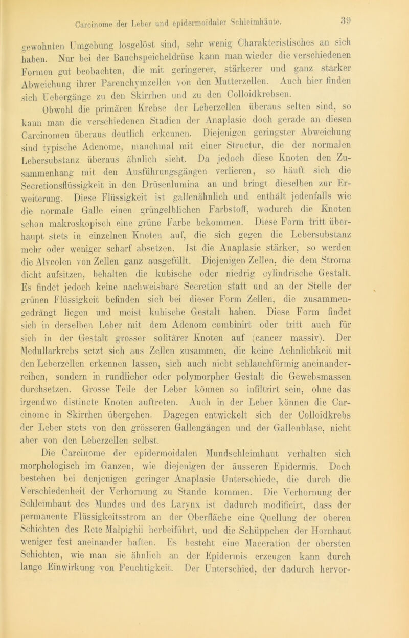Carcinome der Leber und epidermoidaler Schleimhäute. gewohnten Umgebung losgelöst sind, sehr wenig Charakteristisches an sich haben. Nur bei der Bauchspeicheldrüse kann man wieder die verschiedenen Formen gut beobachten, die mit geringerer, stärkerer und ganz starker Abweichung ihrer Parenchymzellen von den Mutterzellen. Auch hier finden sich Uebergänge zu den Skirrhen und zu den Colloidkrebsen. Obwohl die primären Krebse der Leberzellen überaus selten sind, so kann man die verschiedenen Stadien der Anaplasie doch gerade an diesen Carcinomcn überaus deutlich erkennen. Diejenigen geringster Abweichung sind typische Adenome, manchmal mit einer Structur, die der normalen Lebersubstanz überaus ähnlich sieht. Da jedoch diese Knoten den Zu- sammenhang mit den Ausführungsgängen verlieren, so häuft sich die Secretionsflüssigkcit in den Drüsenlumina an und bringt dieselben zur Er- weiterung. Diese Flüssigkeit ist gallenähnlich und enthält jedenfalls wie die normale Galle einen grüngelblichen Farbstoff, wodurch die Knoten schon makroskopisch eine grüne Farbe bekommen. Diese Form tritt über- haupt stets in einzelnen Knoten auf, die sich gegen die Lebersubstanz mehr oder weniger scharf absetzen. Ist die Anaplasie stärker, so werden die Alveolen von Zellen ganz ausgefüllt. Diejenigen Zellen, die dem Stroma dicht aufsitzen, behalten die kubische oder niedrig cylindrische Gestalt. Es findet jedoch keine nachweisbare Secretion statt und an der Stelle der grünen Flüssigkeit befinden sich bei dieser Form Zellen, die zusammen- gedrängt liegen und meist kubische Gestalt haben. Diese Form findet sich in derselben Leber mit dem Adenom combinirt oder tritt auch für sich in der Gestalt grosser solitärer Knoten auf (cancer massiv). Der Medullarkrebs setzt sich aus Zellen zusammen, die keine Aelmlichkeit mit den Leberzellen erkennen lassen, sich auch nicht schlauchförmig aneinander- reihen, sondern in rundlicher oder polymorpher Gestalt die Gewebsmassen durchsetzen. Grosse Teile der Leber können so infiltrirt sein, ohne das irgendwo distinctc Knoten auftreten. Auch in der Leber können die Car- cinome in Skirrhen übergehen. Dagegen entwickelt sich der Colloidkrebs der Leber stets von den grösseren Gallengängen und der Gallenblase, nicht aber von den Leberzellen selbst. Die Carcinome der epidermoidalen Mundschleimhaut verhalten sich morphologisch im Ganzen, wie diejenigen der äusseren Epidermis. Doch bestehen bei denjenigen geringer Anaplasie Unterschiede, die durch die Verschiedenheit der Verhornung zu Stande kommen. Die Verhornung der Schleimhaut des Mundes und des Larynx ist dadurch modificirt, dass der permanente Flüssigkeitsstrom an der Oberfläche eine Quellung der oberen Schichten des Bete Malpighii herbeiführt, und die Schüppchen der Hornhaut weniger fest aneinander haften. Es besteht eine Maceration der obersten Schichten, wie man sie ähnlich an der Epidermis erzeugen kann durch lange Einwirkung von Feuchtigkeit. Der Unterschied, der dadurch hervor-