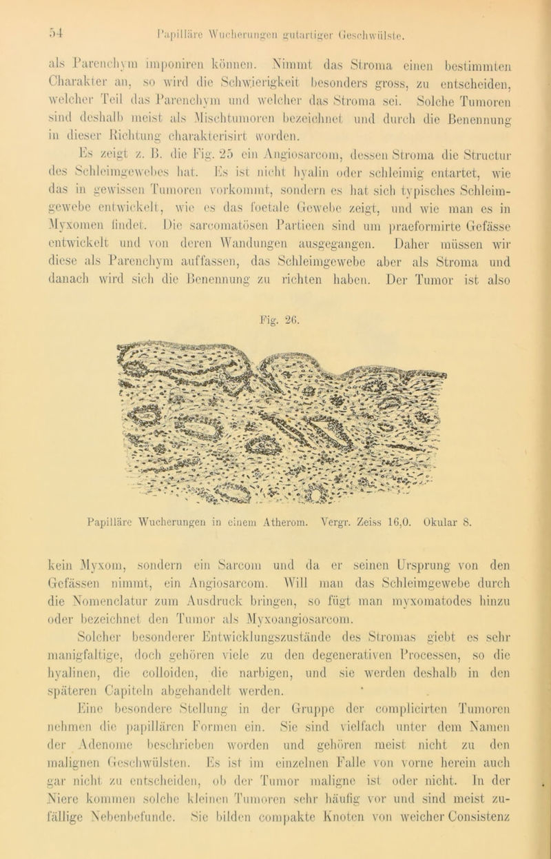 als Parenchym imponiren können. Nimmt das Stroma einen bestimmten Charakter an, so wird die Schwierigkeit besonders gross, zu entscheiden, welcher Teil das Parenchym und welcher das Stroma sei. Solche Tumoren sind deshalb meist als Mischtumoren bezeichnet und durch die Benennung in dieser Richtung charakterisirt worden. Es zeigt z. B. die Fig. 25 ein Angiosarcom, dessen Stroma die Structur des Schleimgewebes bat. Es ist nicht hyalin oder schleimig entartet, wie das in gewissen Tumoren vorkommt, sondern es hat sich typisches Schleim- gewebe entwickelt, wie es das foetale Gewebe zeigt, und wie man es in Myxomen bildet. Die sarcomatösen Partieen sind um praeformirte Gefässe entwickelt und von deren Wandungen ausgegangen. Daher müssen wir diese als Parenchym auffassen, das Schleimgewebe aber als Stroma und danach wird sich die Benennung zu richten haben. Der Tumor ist also Fig. 26. Papilläre Wucherungen in einem Atherom. Vergr. Zeiss 16,0. Okular 8. kein Myxom, sondern ein Sareom und da er seinen Ursprung von den Gefässen nimmt, ein Angiosarcom. Will man das Schleimgewebe durch die Nomenklatur zum Ausdruck bringen, so fügt man myxomatodes hinzu oder bezeichnet den Tumor als Mvxoangiosarcom. Solcher besonderer Entwicklungszustände des Stromas giebt es sehr manigfaltige, doch gehören viele zu den degenerativen Processen, so die hyalinen, die colloiden, die narbigen, und sie werden deshalb in den späteren Capiteln abgehandelt werden. Eine besondere Stellung in der Gruppe der complicirten Tumoren nehmen die papillären Formen ein. Sie sind vielfach unter dem Namen der Adenome beschrieben worden und gehören meist nicht zu den malignen Geschwülsten. Es ist im einzelnen Falle von vorne herein auch gar nicht zu entscheiden, ob der Tumor maligne ist oder nicht. In der Niere kommen solche kleinen Tumoren sehr häufig vor und sind meist zu- fällige Nebenbefunde. Sic bilden compakte Knoten von weicher Consistenz