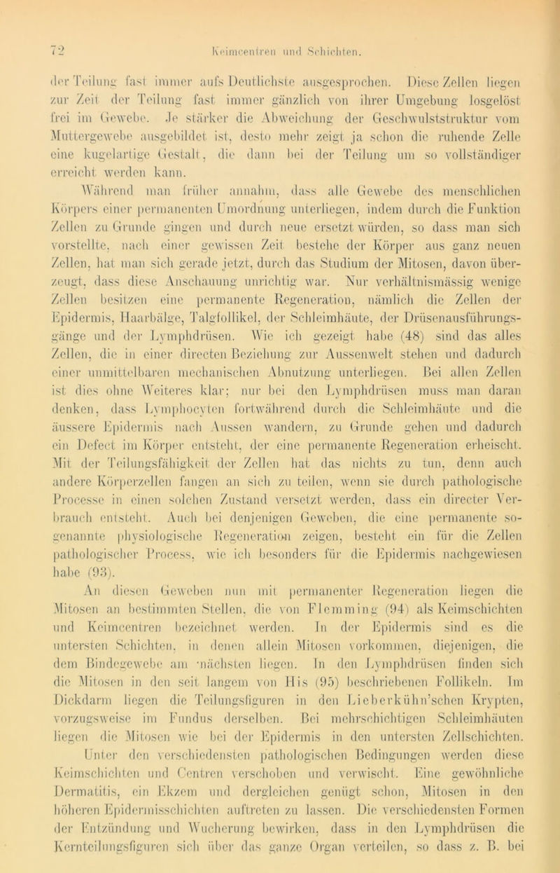 der Teilung fast immer aufs Deutlichste ausgesprochen. Diese Zellen liegen zui- Zeit der Teilung fast immer gänzlich von ihrer Umgebung losgelöst frei im Gewebe. Je stärker die Abweichung der Geschwulststruktur vom Muttergewebe ausgebildet ist, desto mehr zeigt ja schon die ruhende Zelle eine kugelartige Gestalt, die dann bei der Teilung um so vollständiger erreicht werden kann. Während man früher annahm, dass alle Gewebe des menschlichen j Körpers einer permanenten Unordnung unterliegen, indem durch die Funktion Zellen zu Grunde gingen und durch neue ersetzt würden, so dass man sich vorstellte, nach einer gewissen Zeit bestehe der Körper aus ganz neuen Zellen, hat man sich gerade jetzt, durch das Studium der Mitosen, davon über- zeugt, dass diese Anschauung unrichtig war. Nur verhältnismässig wenige Zellen besitzen eine permanente Regeneration, nämlich die Zellen der Epidermis, Haarbälge, Talgfollikel, der Schleimhäute, der Drüsenausführungs- gänge und der Lvmphdrüsen. Wie ich gezeigt habe (48) sind das alles Zellen, die in einer directen Beziehung zur Aussenwelt stehen und dadurch einer unmittelbaren mechanischen Abnutzung unterliegen. Bei allen Zellen ist dies ohne Weiteres klar; nur bei den Lymphdriisen muss man daran denken, dass Eymphocyten fortwährend durch die Schleimhäute und die äussere Epidermis nach Aussen wandern, zu Grunde gehen und dadurch ein Defect im Körper entsteht, der eine permanente Regeneration erheischt. Mit der Teilungsfähigkeit der Zellen hat das nichts zu tun, denn auch andere Körperzellen fangen an sich zu teilen, wenn sie durch pathologische Processe in einen solchen Zustand versetzt werden, dass ein directer Ver- brauch entsteht. Auch bei denjenigen Geweben, die eine permanente so- genannte physiologische Regeneration zeigen, besteht ein für die Zellen pathologischer Process, wie ich besonders für die Epidermis nachgewiesen habe (93). An diesen Geweben nun mit permanenter Regeneration liegen die Mitosen an bestimmten Stellen, die von Flcmming (94) als Keimschichten und Kcimcentren bezeichnet werden. In der Epidermis sind es die untersten Schichten, in denen allein Mitosen Vorkommen, diejenigen, die dem Bindegewebe am -nächsten liegen. In den Lymphdriisen linden sich die Mitosen in den seit langem von His (95) beschriebenen Follikeln. Im Dickdarm liegen die Teilungsfiguren in den Lieberkühn’schen Krypten, vorzugsweise im Fundus derselben. Bei mehrschichtigen Schleimhäuten liegen die Mitosen wie bei der Epidermis in den untersten Zellschichten. Unter den verschiedensten pathologischen Bedingungen werden diese Keimschichten und Centren verschoben und verwischt. Eine gewöhnliche Dermatitis, ein Ekzem und dergleichen genügt schon, Mitosen in den höheren Epidermisschichten auftreten zu lassen. Die verschiedensten Formen der Entzündung und Wucherung bewirken, dass in den Lymphdriisen die Kernteilungsfiguren sicli über das ganze Organ verteilen, so dass z. B. bei