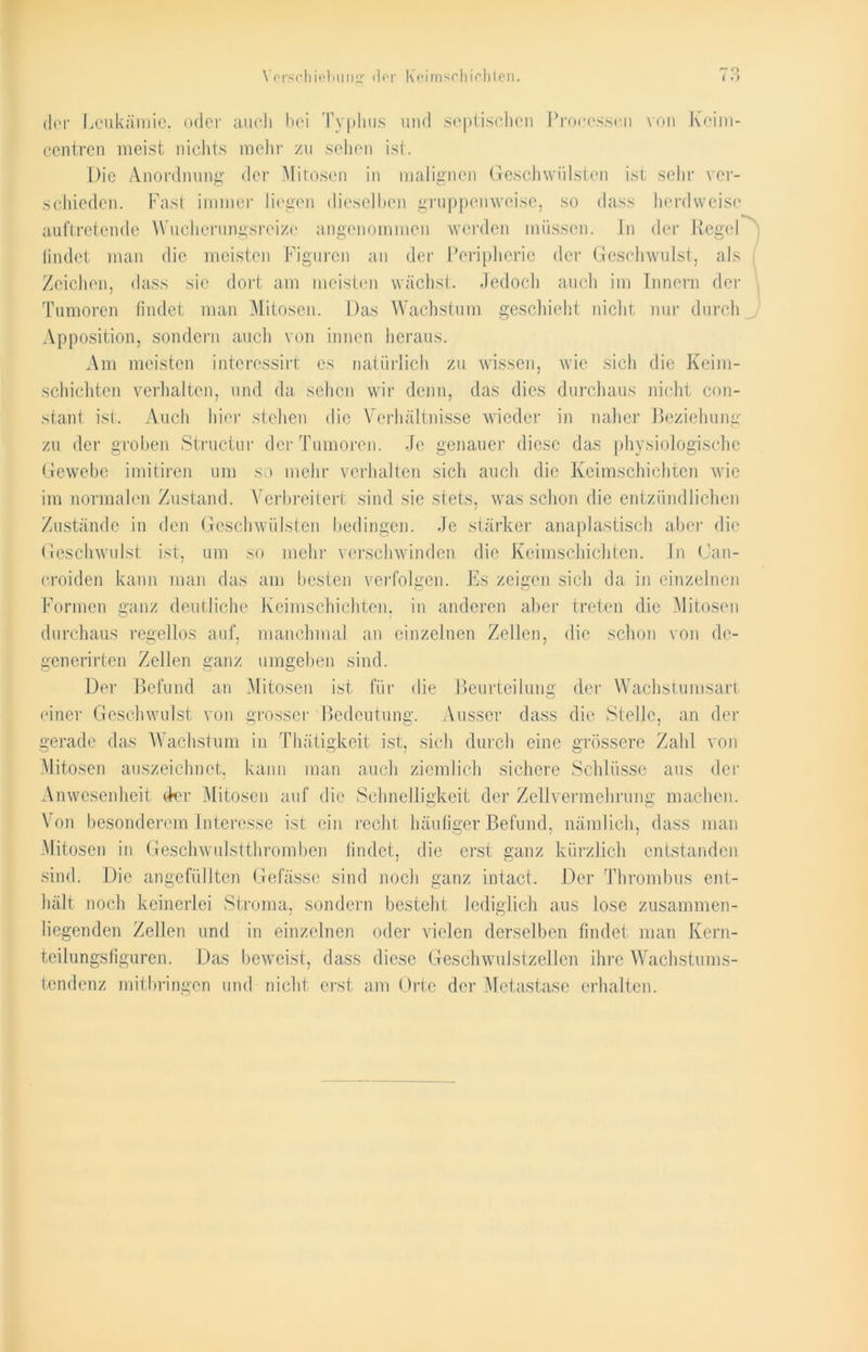 ~ O der Leukämie, oder auch bei Typhus und septischen Processen von Keim- centren meist nichts mehr zu sehen ist. Die Anordnung der Mitosen in malignen Geschwülsten ist sehr ver- schieden. Fast immer liegen dieselben gruppenweise, so dass herdweise auftretende Wucherungsreize angenommen werden müssen. In der Regel lindet man die meisten Figuren an der Peripherie der Geschwulst, als Zeichen, dass sie dort am meisten wächst. Jedoch auch im Innern der Tumoren findet man Mitosen. Das Wachstum geschieht nicht nur durch Apposition, sondern auch von innen heraus. Am meisten interessirt es natürlich zu wissen, wie sich die Keim- schichten verhalten, und da sehen wir denn, das dies durchaus nicht con- stant ist. Auch hier stehen die Verhältnisse wieder in naher Beziehung zu der groben Structur der Tumoren. Je genauer diese das physiologische Gewebe imitiren um so mehr verhalten sich auch die Keimschichten wie im normalen Zustand. Verbreitert sind sie stets, was schon die entzündlichen Zustände in den Geschwülsten bedingen. Je stärker anaplastisch aber die Geschwulst ist, um so mehr verschwinden die Keimschichten. In Uan- croiden kann man das am besten verfolgen. Es zeigen sich da in einzelnen Formen ganz deutliche Keim schichten, in anderen aber treten die Mitosen durchaus regellos auf, manchmal an einzelnen Zellen, die schon von de- generirten Zellen ganz umgeben sind. Der Befund an Mitosen ist für die Beurteilung der Wachstumsart einer Geschwulst von grosser Bedeutung. Ausser dass die Stelle, an der gerade das Wachstum in Thätigkeit ist, sich durch eine grössere Zahl von Mitosen auszeichnet; kann man auch ziemlich sichere Schlüsse aus der Anwesenheit der Mitosen auf die Schnelligkeit der Zellvermehrung machen. Von besonderem Interesse ist ein recht häufiger Befund, nämlich, dass man Mitosen in Geschwulstthromben findet, die erst ganz kürzlich entstanden sind. Die angefüllten Gefässe sind noch ganz intact. Der Thrombus ent- hält noch keinerlei Stroma, sondern besteht lediglich aus lose zusammen- liegenden Zellen und in einzelnen oder vielen derselben findet man Kern- teilungsfiguren. Das beweist, dass diese Geschwulstzellen ihre Wachstums- tendenz mitbringen und nicht erst am Orte der Metastase erhalten.
