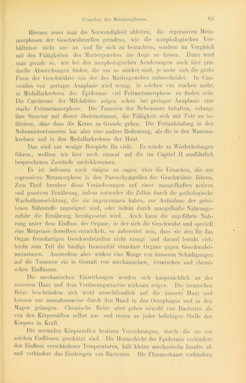 Hieraus muss man clie Notwendigkeit ableiten, die regressiven Meta- morphosen der Geschwulstzellen geradeso, wie die morphologischen Ver- hältnisse nicht nur an und für sich zu betrachten, sondern im Vergleich mit den Fähigkeiten des Muttergewebes ins Auge zu fassen. Dann wird man gerade so, wie bei den morphologischen Aendcrungcn auch liier gra- duelle Abweichungen finden, die um so stärker sind, je mehr sich die grobe Form der Geschwülste von der des Muttergewebes unterscheidet. In Can- croidcn von geringer Anaplasie wird wenig, in solchen von starken mehr, in Medullarkrebsen der Epidermis viel Fettmetamorphose zu finden sein. Die Carcinome der Milchdrüse zeigen schon bei geringer Anaplasie eine starke Fettmetamorphose. Die Tumoren der Nebenniere behalten, solange ihre Structur mit dieser übereinstimmt, die Fähigkeit sich mit Fett zu in- filtriren, ohne dass die Kerne zu Grunde gehen. Die Fettanhäufung in den Nebennierentumoren hat also eine andere Bedeutung, als die in den Mamma- krebsen und in den Medullarkrebsen der Haut. Das sind nur wenige Beispiele für viele. Es würde zu Wiederholungen führen, wollten wir hier noch einmal auf die im Capitel II ausführlich besprochenen Zustände zurückkommen. Es ist indessen noch einiges zu sagen über die Ursachen, die zur regressiven Metamorphose in den Parenchymzellen der Geschwülste führen. Zum Theil beruhen diese Veränderungen auf einer mangelhaften activen und passiven Ernährung, indem entweder die Zellen durch die pathologische Wachsthumsrichtung, die sie angenommen haben, zur Aufnahme der gebo- tenen Nährstoffe ungeeignet sind, oder indem durch mangelhafte Nahrungs- zufuhr die Ernährung herabgesetzt wird. Auch kann die zugeführte Nah- rung unter dem Einfluss der Organe, in der sich die Geschwulst und spccicll eine Metastase derselben entwickelt, so zubereitet sein, dass sie den für das Organ fremdartigen Geschwulstzellen nicht zusagt und darauf beruht viel- leicht zum Teil die häufige Immunität einzelner Organe gegen Geschwulst- metastasen. Ausserdem aber wirken eine Menge von äusseren Schädigungen auf die Tumoren ein in Gestalt von mechanischen, termischen und chemi- schen Einflüssen. Die mechanischen Einwirkungen werden sich hauptsächlich an der äusseren Haut und dem Verdauungstractus wirksam zeigen. Die termischen Reize beschränken sich wohl ausschliesslich auf die äussere Haut und können nur ausnahmsweise durch den Mund in den Oesophagus und in den Magen gelangen. Chemische Reize aber gehen sowohl von Baeterien als von den Körpersäften selbst aus und treten an jeder beliebigen Stelle des Körpers in Kraft. Die normalen Körperzellen besitzen Vorrichtungen, durch die sie vor solchen Einflüssen geschützt sind. Die Hornschicht der Epidermis verhinderi den Einfluss verschiedener Temperaturen, hält kleine mechanische Insulte ab und verhindert das Eindringen von Baeterien. Die Flimmerhaare verhindern