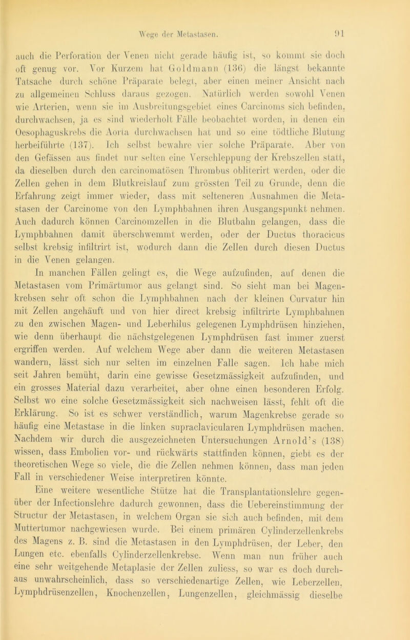 auch die Perforation der Venen nicht gerade häufig ist, so kommt .sie doch oft genug vor. Vor Kurzem hat Gold mann (136) die längst bekannte Tatsache durch schöne Präparate belegt, aber einen meiner Ansicht nach zu allgemeinen Schluss daraus gezogen. Natürlich werden sowohl Venen wie Arterien, wenn sie im Ausbreitungsgebiet eines Careinoms sich befinden, durchwachsen, ja es sind wiederholt Fälle beobachtet worden, in denen ein aguskrebs die Aorta durchwachsen hat und so eine tödtliche Blutung herbei führte (137). Ich selbst bewahre vier solche Präparate. Aber von den Gefässen aus findet nur selten eine Verschleppung der Krebszellen statt, da dieselben durch den carcinomatösen Thrombus obliterirt werden, oder die Zellen gehen in dem Blutkreislauf zum grössten Teil zu Grunde, denn die Erfahrung zeigt immer wieder, dass mit selteneren Ausnahmen die Meta- stasen der Careinome von den Lymphbahnen ihren Ausgangspunkt nehmen. Auch dadurch können Carcinomzellen in die Blutbalm gelangen, dass die Lymphbahnen damit überschwemmt werden, oder der Ductus thoracicus selbst krebsig infiltrirt ist, wodurch dann die Zellen durch diesen Ductus in die Venen gelangen. In manchen Fällen gelingt es, die Wege aufzufinden, auf denen die Metastasen vom Primärtumor aus gelangt sind. So sieht man bei Magen- krebsen sehr oft schon die Lymphbahnen nach der kleinen Curvatur hin mit Zellen angehäuft und von liier direct krebsig infiltrirte Lymphbahnen zu den zwischen Magen- und Leberhilus gelegenen Lymphdrüsen hinziehen, wie denn überhaupt die nächstgelegenen Lymphdrüsen fast immer zuerst ergriffen werden. Auf welchem Wege aber dann die weiteren Metastasen wandern, lässt sich nur selten im einzelnen Falle sagen. Ich habe mich seit Jahren bemüht, darin eine gewisse Gesetzmässigkeit aufzufinden, und ein grosses Material dazu verarbeitet, aber ohne einen besonderen Erfolg. Selbst wo eine solche Gesetzmässigkeit sich nachweisen lässt, fehlt oft die Erklärung. So ist es schwer verständlich, warum Magenkrebse gerade so häufig eine Metastase in die linken supraclavicularen Lymphdrüsen machen. Nachdem wir durch die ausgezeichneten Untersuchungen Arnold’s (138) wissen, dass Embolien vor- und rückwärts stattfinden können, giebt cs der theoretischen Wege so viele, die die Zellen nehmen können, dass man jeden Fall in verschiedener Weise interpretiren könnte. Eine weitere wesentliche Stütze hat die Transplantationslehre gegen- über der Infectionslehre dadurch gewonnen, dass die Uebereinstimmung der Structur der Metastasen, in welchem Organ sie sich auch befinden, mit dem Muttertumor nachgewiesen wurde. Bei einem primären Cvlinderzellenkrebs des Magens z. B. sind die Metastasen in den Lymphdrüsen, der Leber, den Lungen etc. ebenfalls Cylinderzellenkrebse. Wenn man nun früher auch eine sehr weitgehende Metaplasie der Zellen zuliess, so war cs doch durch- aus unwahrscheinlich, dass so verschiedenartige Zellen, wie Leberzellen, Lymphdrüsenzellen, Knochenzellen, Lungenzellen, gleichmässig dieselbe