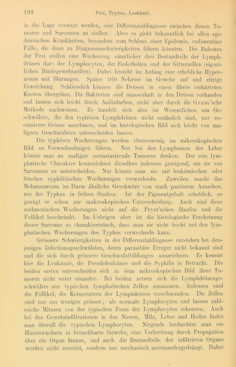 Pest, Typhus, Leukämie. in die Lage versetzt werden, eine Differenzialdiagnose zwischen diesen Tu- moren und Sarcomen zu stellen. Aber es giebt bekanntlich bei allen epi- demischen Krankheiten, besonders zum Schluss einer Epidemie, rudimentäre Fälle, die dann zu Diagnosenschwierigkeiten führen könnten. Die Bubonen der Pest stellen eine Wucherung sämtlicher drei Bestandteile der Lymph- drüsen dar: der Lymphocyten, der Endothclien und der Gitterzellen (eigent- lichen Bindegewebszellen). Dabei besteht im Anfang eine erhebliche Hyper- aemie mit Blutungen. Später tritt Nekrose im Gewebe auf und eitrige Erweichung. Schliesslich können die Drüsen in einen fibrös verhärteten Knoten übergehen. Die Bakterien sind massenhaft in den Drüsen vorhanden und lassen sich leicht durch Anilinfarben, nicht aber durch die Gram’schc Methode nachweisen. Es handelt sich also im Wesentlichen um Ge- schwülste, die den typhösen Lymphdriisen nicht unähnlich sind, nur ex- cessivere Grösse annehmen, und im histologischen Bild sich leicht von ma- lignen Geschwülsten unterscheiden lassen. Die typhösen Wucherungen werden ebensowenig im mikroskopischen Bild zu Verwechselungen führen. Nur bei den Lymphomen der Leber könnte man an maligne metastasirende Tumoren denken. Der rein lym- phatische Charakter kennzeichnet dieselben indessen genügend, um sie von Sarcomen zu unterscheiden. Nur könnte man sic mit leukämischen oder frischen syphilitischen Wucherungen verwechseln. Zuweilen macht das Melanosarcom im Darm ähnliche Geschwüre von stark pastösem Aussehen, wie der Typhus in frühen Stadien. Ist der Pigmentgehalt erheblich, so genügt er schon zur makroskopischen Unterscheidung. Auch sind diese melanotischen Wucherungen nicht auf die Peyer’schen Haufen und die Follikel beschränkt. Im Uebrigen aber ist die histologische Erscheinung dieser Sarcome so charakteristisch, dass man sie nicht leicht mit den lym- phatischen Wucherungen des Typhus verwechseln kann. Grössere Schwierigkeiten in der Differenzialdiagnosc entstehen bei den- jenigen Infectionsgeschwülsten, deren parasitäre Erreger nicht bekannt sind und die sich durch grössere Geschwulstbildungcn auszeichnen. Es kommt hier die Leukämie, die Pseudoleukämie und die Syphilis in Betracht. Die beiden ersten unterscheiden sich in dem mikroskopischen Bild ihrer Tu- moren nicht unter einander. Bei beiden setzen sich die Lymphdrüsenge- schwülste aus typischen lymphatischen Zellen zusammen. Indessen sind die Follikel, die Keimcentren der Lymphdrüsen verschwunden. Die Zellen sind nur um weniges grösser, als normale Lymphocyten und lassen zahl- reiche Mitosen von der typischen Form der Lymphocyten erkennen. Auch bei den Gewebsinfiltrationen in den Nieren, Milz, Leber und Hoden findet man überall die typischen Lymphocyten. Nirgends beobachtet man ein Hinein wachsen in benachbarte Gewebe, eine Verbreitung durch Propagation über ein Organ hinaus, und auch die Bestandteile der infiltrirten Organe werden nicht zerstört, sondern nur mechanisch auseinandergedrängt. Daher