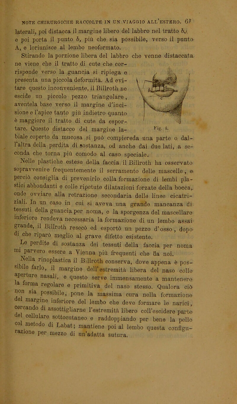 laterali, poi distacca il margine libero del labbro nel tratto b,i. e poi porta il punto b, più che sia possibile, verso il punto A, e loriunisce al lembo neoformato. Stirando la porzione libera del labbro che venne distaccata ne viene che il tratto di cute che cor- risponde verso la guancia si ripiega e presenta una piccola deformità. Ad evi- tare questo inconveniente, il Billroth ne escide un piccolo pezzo triangolare, aventela base verso il margine d'inci- sione e l’apice tanto più indietro quanto è maggiore il tratto di cute da espor- tare. Questo distacco del margine la- biale coperto da mucosa si può compiereda una parte o dal- 1 altra della perdita di sostanza, od anche dai due lati, a se- conda che torna più comodo al caso speciale. Nelle plastiche estese della faccia il Billroth ha osservato sopravvenire frequentemente il serramento delle mascelle , e perciò consiglia di prevenirlo colla formazione di lembi pla- stici abbondanti e colle ripetute dilatazioni forzate della bocca, onde ovviare alla retrazione secondaria delle linee cicatri- ziali. In un caso in cui si aveva una grande mancanza di tessuti della guancia per noma, e la sporgenza del mascellare inferiore rendeva necessaria la formazione di un lembo assai grande, il Billroth resecò ed esportò un pezzo d’osso , dopo i che riparò meglio al grave difetto esistente. Le pei dite di sostanza dei tessuti della faccia per noma mi parvero essere a Vienna più frequenti che da noi. Nella rinoplastica il Billroth conserva, dove appena è pos- sibile farlo, il margine dell’estremità libera del naso colle aperture nasali, e questo serve immensamente a mantenere orma regolare e primitiva del naso stesso. Qualora ciò non sia possibile, pone la massima cura nella formazione margine inferiore del lembo che deve formare le narici, cercando di assottigliarne l’estremità libero coll’escidere parte e cellulare sottocutaneo e raddoppiando per bene la pelle metodo di Labat; mantiene poi al lembo questa configu- razione per mezzo di un’adatta sutura.