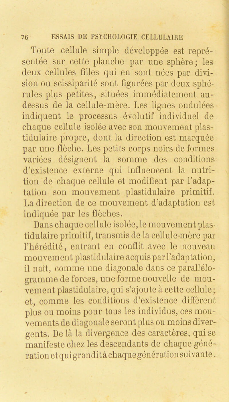 Toute cellule simple developpee est repre- sentee sur cette planclie par une spliere; les deux cellules filles qui en sont nees par divi- sion ou scissiparite sont figurees par deux sphe- rules plus petites, situees immediatement au- dessus de la cellule-mere. Les lignes ondulees indiquent le processus evolutif individuel de cliaque cellule isolee avec son mouvemeut plas- tidulaire propre, dorit la direction est marquee par une fleclie. Les petiLs corps noirs de formes variees designeut la somme des conditions d’existence externe qui influencent la nutri- tion de cliaque cellule et modifient par Ladap- tation son mouvement plastidulaire primitif. La direction de ce mouvement d’adaptation est indiquee par les fleclies. Dans cliaque cellule isolee, le mouvement plas- tidulaire primitif, transmis de la cellule-mere par riierddite, entrant en conflit avec le nouveau mouvement plastidulaire acquisparl’adaptation, il nait, comnie une diagonale dans ce Parallelo- gramme de forces, une forme nouvelle de mou- vement plastidulaire, qui s’ajoute ä cette cellule; et, comme les conditions d’existence different plus ou moins pour tous les individus, ces mou- vements de diagonale seront plus ou moins diver- gents. De lä la divergence des caracteres, qui se manifeste cliez les descendants de cliaque gene- rationetquigranditäcliaquegenerationsuivante.