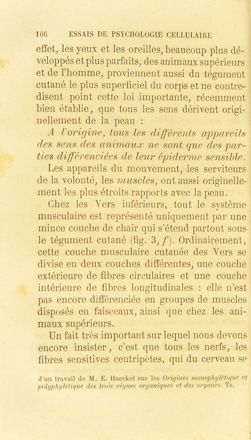 effet, les yeux et les oreiiles.beancoup plus de- veloppes et plus parfaits^ des animaux superieurs et de riiomme, proviennent aussi du tegument cutane le plus superßciel du corps et ne contre- disent point cette loi importante, recemment bien etablie, que tous les sens derivent origi- nellement de la peau : A roriqine, tous les differeiHs appareih des sens des anwicmx ne soni que des par- ties diff'erenciees de leur epiderme sensible. Les appareils du mouvement, les serviteurs de la volonte, les muscles, ont aussi originelle- ment les plus etroits rapporls avec la peau. (ßiez les Vers inferieurs, tont le Systeme musculaire est represenle uniquement par une mince couclie de chair qui s’etend partout sous le tegument cutand (fig. 3, f). Ordinairement, cette coucbe musculaire cutanee des Vers se divise en deux couches differentes, une coucbe exterieure de fibres circulaires et une coucbe Interieure de fibres longitudinales : eile n’est pas encore diflerenciee en groupes de muscles disposes en faisceaux, ainsi que cliez les ani- maux superieurs. Un fait tres important sur lequel nous devons encore insister, c’est que tous les nerfs, les fibres sensitives centripetes, qui du cerveau se tl’un Lravail de M. E. llaeckel suv les üvüjines mo7wphijleti<iue et pobjphjiMtuiw des trois 7'dipies orfjranqties et des oveianes. Tu.