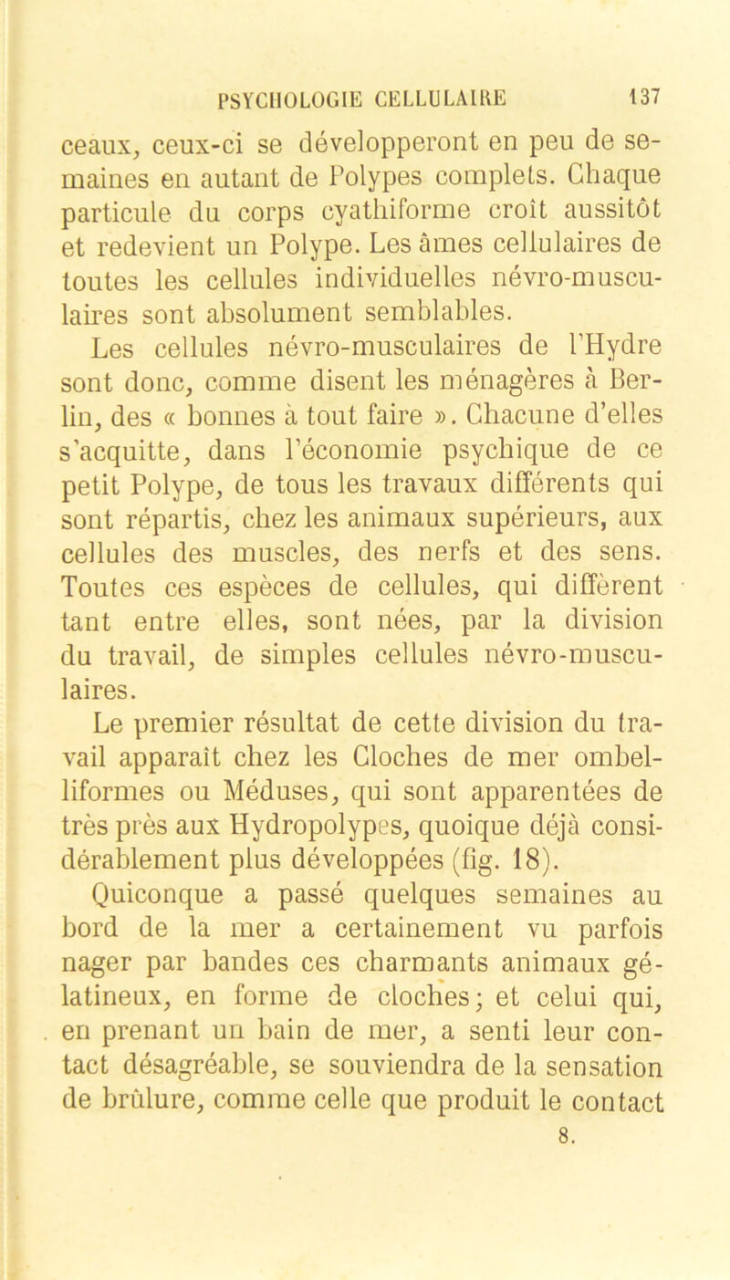 ceaux, ceux-ci se developperont en peu de se- maines en autant de Polypes complets. Chaque particule du corps cyathiforme croit aussitöt et redevient un Polype. Les ämes cellulaires de toiites les cellules individuelles nevro-muscu- laires sont absolument semblables. Les cellules nevro-musculaires de PHydre sont donc, comme disent les menageres ä Ber- lin, des « bonnes ä tout faire ». Chacune d’elles sacquitte, dans Peconoinie psychique de ce petit Polype, de tous les travaux differents qui sont repartis, chez les animaux superieurs, aux cellules des muscles, des nerfs et des sens. Toutes ces especes de cellules, qui different tant entre eiles, sont nees, par la division du travail, de simples cellules nevro-muscu- laires. Le Premier resultat de cette division du tra- vail apparait chez les Cloches de mer ombel- liformes ou Meduses, qui sont apparentees de tres pres aux Hydropolypes, quoique dejä consi- derablement plus developpees (fig. 18). Quiconque a passe quelques semaines au bord de la mer a certainement vu parfois nager par bandes ces charmants animaux ge- latineux, en forme de cloches; et celui qui, en prenant un bain de mer, a senti leur con- tact desagreable, se souviendra de la Sensation de brülure, comme celle que produit le contact 8.
