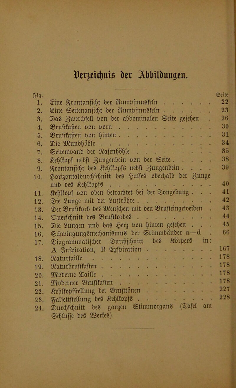 ^erjetdjnis tier 3ü)bill>ungen. Stg. 1. (Sine grontanfidjt ber 91umpfmu8Eeln 2. (Sine ©eitenanfidjt bev 9iumpfmu8fetn 3. Sa8 Z'uenbfelE bon ber abbominaten ©eite gefeben 4. SSruftEaften bon born 5. SSruftfaften bon hinten 6. Sie üftunbböble 7. ©eitenmanb ber 9?afenf)ö§Ee 8. SebtEopf rtebft Zungenbein bon ber ©eite 9. grontanfidjt bc§ M;Ifopf8 nebft Zungenbein .... 10. §oriäontatburcI)fc[)nitt be8 §atfe8 oberhalb ber Zunge unb be8 $ebIEopf8 11. M)tfopf bon oben Betrachtet bei ber Tongebung . . . 12. Sie Sunge mit ber Suftröljre 13. Ser SBrufiforb be8 SDfenfcben mit ben 33rufteingemeiben . 14. Duerfcfjnitt bc8 93ruftEorbe8 15. Sie Sungen unb ba8 £>erj bon hinten gefeiten . . . 16. ®djlbingung8medjani8mu8 ber ©timmbänber a—d . 17. Siagrammatifcber Surdjfcbnitt be8 ÄörperS in: A Sfnfpiration, R (Sjfpiration 18. Sftaturtaiße 19. 9iaturbruftfafteu 20. SJioberne Saitte 21. SDlobcrner Srujtfaften 22. debEEopfftcHung bei 23 ruft tönen 23. galfettftcUung bc8 ÄeblfopfS 24. Surcbfcbnitt bc8 ganzen @timmorgcm8 (Safel am ©diEuife bc8 28erfc8).