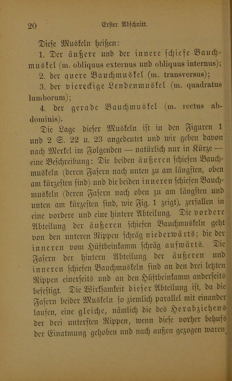 ©iefe $8u3!cln peifjen: 1. ©er äußere unb her innere fc£)iefe Baud)* muSfcl (m. obliquus externus nnb obliquus internus); 2. ber quere Baud)tnu§fel (m. transversus); 3. ber biere;dige ScnbenntuSfel (ni. quadratus lumborum); 4. ber gcrabc Baucpmuäfcl (m. rectus ab- dominis). ©ie Sage biefer ÜUiuäMn ift in ben Figuren 1 unb 2 <3. 22 u. 23 angebeutet unb mir geben babon nad) Werfet int golgenben — natürlich nur in ^itrje — eine Beitreibung: ®ie beibett dufferen fdjiefcn Baud)* muSteln (bereu gafern nad) unten ju am längften, oben am lurjeftcn finb) unb biebeibett inneren Riefen Baud)5 mugfeln (bereu gafern nad) oben 511 atu längften unb unten atn fiirjeften finb, mic $ig. 1 geigt), verfallen in eine borbere unb eine I)intcrc Abteilung, ©ic borbere Abteilung ber äußeren fd)iefen Saudjmusfcln get)t bau ben unteren Rippen fdjräg nicbcrmärtS; bie ber inneren bont Jpüftbcinfamnt fd)räg aufwärts. ©ic gafertt ber ^intern Abteilung ber äußeren unb inneren fd)iefen Baudjmudeln finb au ben brei testen Rippen einerseits unb an ben <püftbcinfamm anberfeits ’ befeftigt. ©ie Sßirffamfeit biefer Abteilung ift, ba bie gaferu beiber äRuSfeln fo jicmlid) parallel mit etnanber laufen, eine gleiche, nämlid) bie be§ §erabjieljen8g ber brei unterften 9iippen, Wenn biefe borper bepufäl ber Einatmung gepöben unb nad) aufjeit gezogen watciq