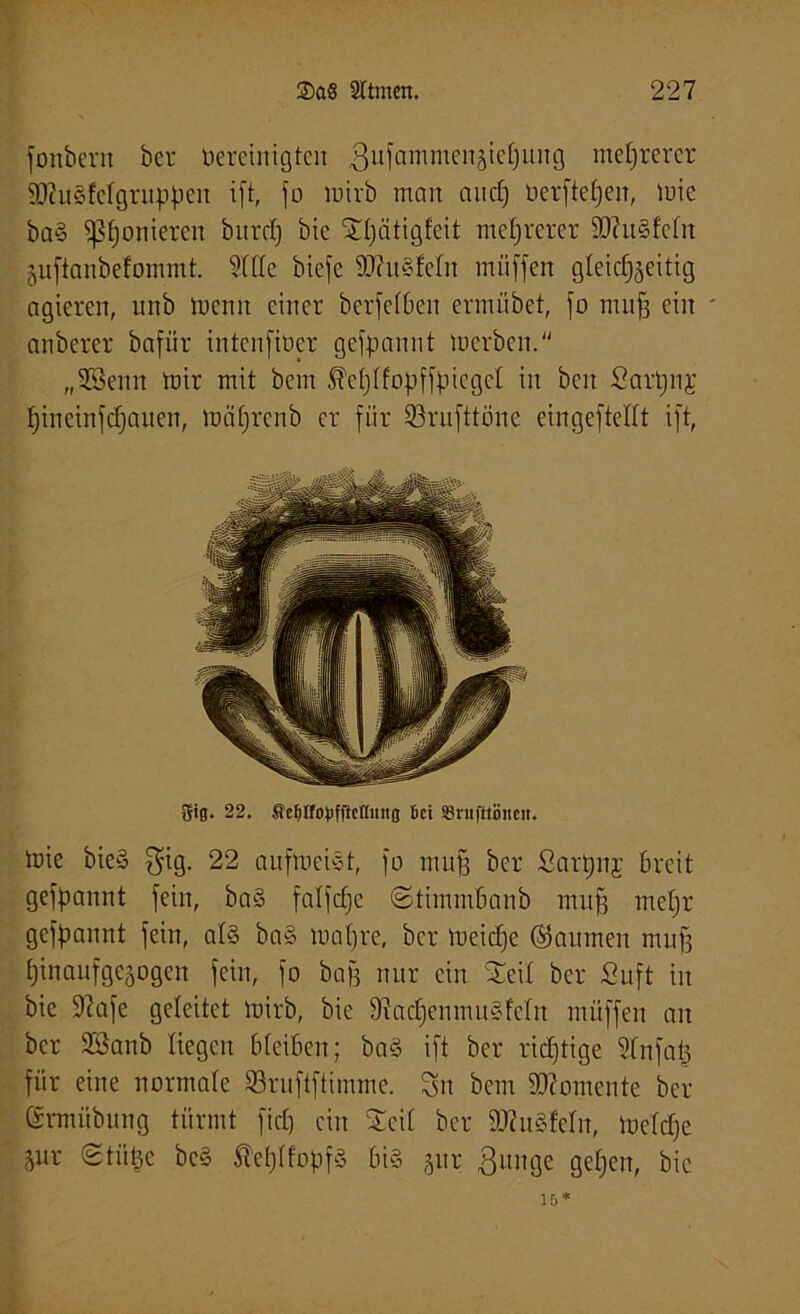 fonbcrn ber bereinigten 31110mmen^ief)ung mehrerer 9D?u3fetgruppen ift, fo wirb man ancE) üerftefjen, toie ba§ Pionieren burdj bic St)ätigfeit mehrerer ÜRuSfeln Zuftanbefommt. Me biefe 93?n§Mn müffen gleichzeitig agieren, unb trenn einer berfetben ermübet, fo muff ein anbercr bafür intenfiüer gefpartnt werben. „3ßenn wir mit bem ^ehtfopffpieget in beit Sarpiij htneinfehauen, wäfjrenb er für ©rufttöne eingeftelft ift, gtg. 22. ftcfjlfovfftonmig 6ct Snifttöncit. wie bteS $ig. 22 aufweist, fo muff ber Sarpnj breit gefpannt fein, ba§ falfdfc ©timmbanb muff mehr gefpannt fein, al§ ba§ und)re, ber Weiche ©aumen mu|f hinaufgegogen fein, fo baff nur ein Steil ber Suft iit bie fftafe geleitet mirb, bie 9?acfjenmu§feln müffen an ber Söanb liegen bteiben; ba§ ift ber richtige Mfat) für eine normale ©ruftftimme. Sn bem Momente ber ©rm Übung türmt fidj ein Seit ber 3Ru8Mn, Welche Zur Stütze bc§ ÄehlfopfS bi§ zilr 3u»Öe gehen, bie