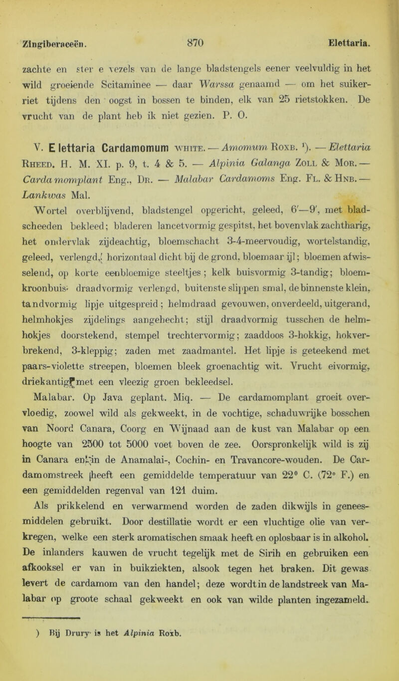 zachte en ster e vezels van de lange bladstengels eener veelvuldig in het wild groeiende Scitaminee — daar Warssa genaamd — om het suiker- riet tijdens den oogst in bossen te binden, elk van 25 rietstokken. De vrucht van de plant heb ik niet gezien. P. O. V. Elettaria Cardamomum white.-—imomumRoxb. ’).—Elettaria Rheed. H. M. XI. p. 9, t. 4 & 5. — Alpinia Galanga Zoll & Mor.— Cardamomplant Eng., Dr. — Malabar Cardawoms Eng. Fl. &Hnb.— Lankwas Mal. Wortel overblijvend, bladstengel opgericht, geleed, 6'—9', met blad- scheeden bekleed; bladeren lancetvormig gespitst, het bovenvlak zachtharig, het ondervlak zijdeachtig, bloemschacht 3-4-meervoudig, wortelstandig, geleed, verlengd,! horizontaal dicht bij de grond, bloemaar ijl; bloemen afwis- selend, op korte eenbloemige steeltjes; kelk buisvormig 3-tandig; bloem- kroonbuis- draad vormig verlengd, buitenste slippen smal, de binnenste klein, tandvormig lipje uitgespreid; helmdraad gevouwen, onverdeeld, uitgerand, helmhokjes zijdelings aangehecht; stijl draadvormig tusschen de helm- hokjes doorstekend, stempel trechtervormig; zaaddoos 3-hokkig, hokver- brekend, 3-kleppig; zaden met zaadmantel. Het lipje is geteekend met paars-violette streepen, bloemen bleek groenachtig wit. Vrucht eivormig, driekantig^met een vleezig groen bekleedsel. Malabar. Op Java geplant. Micp — De cardamomplant groeit over- vloedig, zoowel wild als gekweekt, in de vochtige, schaduwrijke bosschen van Noord Canara, Coorg en Wijnaad aan de kust van Malabar op een hoogte van 2500 tot 5000 voet boven de zee. Oorspronkelijk wild is zij in Canara en Pin de Anamalai-, Cochin- en Travancore-wouden. De Car- damomstreek jheeft een gemiddelde temperatuur van 22° C. (72° F.) en een gemiddelden regenval van 121 duim. Als prikkelend en verwarmend worden de zaden dikwijls in genees- middelen gebruikt. Door destillatie wordt er een vluchtige olie van ver- kregen, welke een sterk aromatischen smaak heeft en oplosbaar is in alkohol. De inlanders kauwen de vrucht tegelijk met de Sirih en gebruiken een afkooksel er van in buikziekten, alsook tegen het braken. Dit gewas levert de cardamom van den handel; deze wordt in de landstreek van Ma- labar op groote schaal gekweekt en ook van wilde planten ingezameld. ) Bij Drury is het Alpinia Roxb.