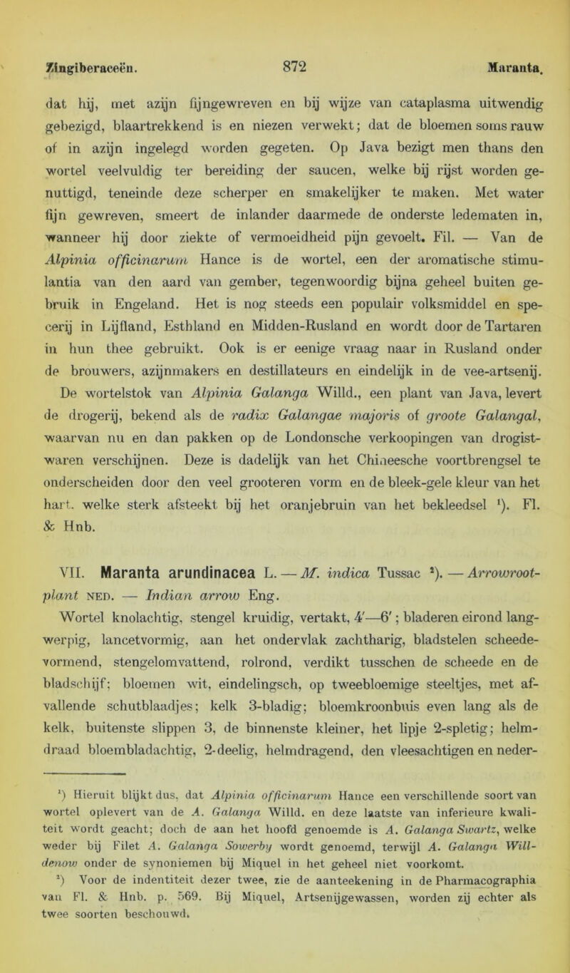 dat hij, met azijn fijngewreven en bij wijze van cataplasma uitwendig gebezigd, blaartrekkend is en niezen verwekt; dat de bloemen soms rauw of in azijn ingelegd worden gegeten. Op Java bezigt men thans den wortel veelvuldig ter bereiding der saucen, welke bij rijst worden ge- nuttigd, teneinde deze scherper en smakelijker te maken. Met water fijn gewreven, smeert de inlander daarmede de onderste ledematen in, wanneer hij door ziekte of vermoeidheid pijn gevoelt. Fil. — Van de Alpinia officinarum Hance is de wortel, een der aromatische stimu- lantia van den aard van gember, tegenwoordig bijna geheel buiten ge- bruik in Engeland. Het is nog steeds een populair volksmiddel en spe- cerij in Lijfland, Esthland en Midden-Rusland en wordt door de Tartaren in hun thee gebruikt. Ook is er eenige vraag naar in Rusland onder de brouwers, azijnmakers en destillateurs en eindelijk in de vee-artsenij. De wortelstok van Alpinia Galanga Willd., een plant van Java, levert de drogerij, bekend als de radix Galangae majoris of groote Galangal, waarvan nu en dan pakken op de Londonsche verkoopingen van drogist- waren verschijnen. Deze is dadelijk van het Chineesche voortbrengsel te onderscheiden door den veel grooteren vorm en de bleek-gele kleur van het hart. welke sterk afsteekt bij het oranjebruin van het bekleedsel ‘). Fl. Sc Hnb. VIL Maranta arundinacea L. — M. indica Tussac * *). — Arrowroot- plant ned. — Indian arrow Eng. Wortel knolachtig, stengel kruidig, vertakt, 4'—6'; bladeren eirond lang- werpig, lancetvormig, aan het ondervlak zachtharig, bladstelen scheede- vormend, stengelomvattend, rolrond, verdikt tusschen de scheede en de bladschijf; bloemen wit, eindelingsch, op tweebloemige steeltjes, met af- vallende schutblaadjes; kelk 3-bladig; bloemkroonbuis even lang als de kelk, buitenste slippen 3, de binnenste kleiner, het lipje 2-spletig; helm- draad bloembladachtig, 2-deelig, helmdragend, den vleesachtigen en neder- *) Hieruit blijkt dus, dat Alpinia officinarum Hance een verschillende soort van wortel oplevert van de A. Galanga Willd. en deze laatste van inferieure kwali- teit wordt geacht; doch de aan het hoofd genoemde is A. Galanga Swartz, welke weder bij Filet .4. Galanga Sowerby wordt genoemd, terwijl A. Galanga Will- denow onder de synoniemen bij Miquel in het geheel niet voorkomt. *) Voor de indentiteit dezer twee, zie de aanteekening in de Pharmacographia van Fl. & Hnb. p. 569. Bij Miquel, Artsenijgewassen, worden zij echter als twee soorten beschouwd.