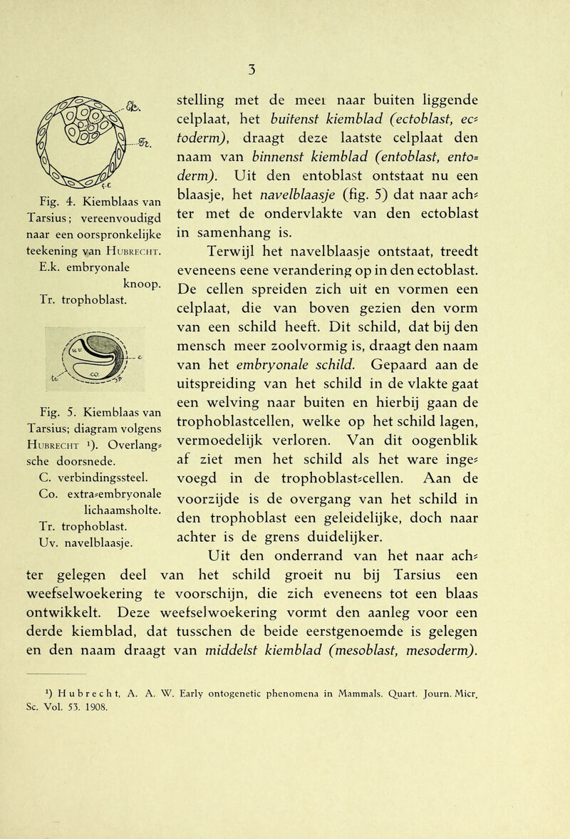 Fig. 4. Kiemblaas van Tarsius; vereenvoudigd naar een oorspronkelijke teekening van Hubrecht. E.k. embryonale knoop. Tr. trophoblast. stelling met de meer naar buiten liggende celplaat, het buitenst kiemblad (ectoblast, ec^ toderm), draagt deze laatste celplaat den naam van binnenst kiemblad (entoblast, ento= devm). Uit den entoblast ontstaat nu een blaasje, het navelblaasje (fig. 5) dat naar ach^ ter met de ondervlakte van den ectoblast in samenhang is. Terwijl het navelblaasje ontstaat, treedt eveneens eene verandering op in den ectoblast. De cellen spreiden zich uit en vormen een celplaat, die van boven gezien den vorm van een schild heeft. Dit schild, dat bij den mensch meer zooivormig is, draagt den naam van het embryonale schild. Gepaard aan de uitspreiding van het schild in de vlakte gaat een welving naar buiten en hierbij gaan de trophoblastcellen, welke op het schild lagen, vermoedelijk verloren. Van dit oogenblik af ziet men het schild als het ware inge^ voegd in de trophoblast?cellen. Aan de voorzijde is de overgang van het schild in den trophoblast een geleidelijke, doch naar achter is de grens duidelijker. Uit den onderrand van het naar ach^ ter gelegen deel van het schild groeit nu bij Tarsius een weefselwoekering te voorschijn, die zich eveneens tot een blaas ontwikkelt. Deze weefselwoekering vormt den aanleg voor een derde kiemblad, dat tusschen de beide eerstgenoemde is gelegen en den naam draagt van middelst kiemblad (mesoblast, mesoderm). Fig. 5. Kiemblaas van Tarsius; diagram volgens Hubrecht i). Overlang# sche doorsnede. C. verbindingssteel. Co. extra#embryonale lichaamsholte. Tr. trophoblast. Uv. navelblaasje. H u b r e c h t, A. A. W. Early ontogenetic phenomena in Mammals. Quart. Journ. Mier. Sc. Vol. 53. 1908.