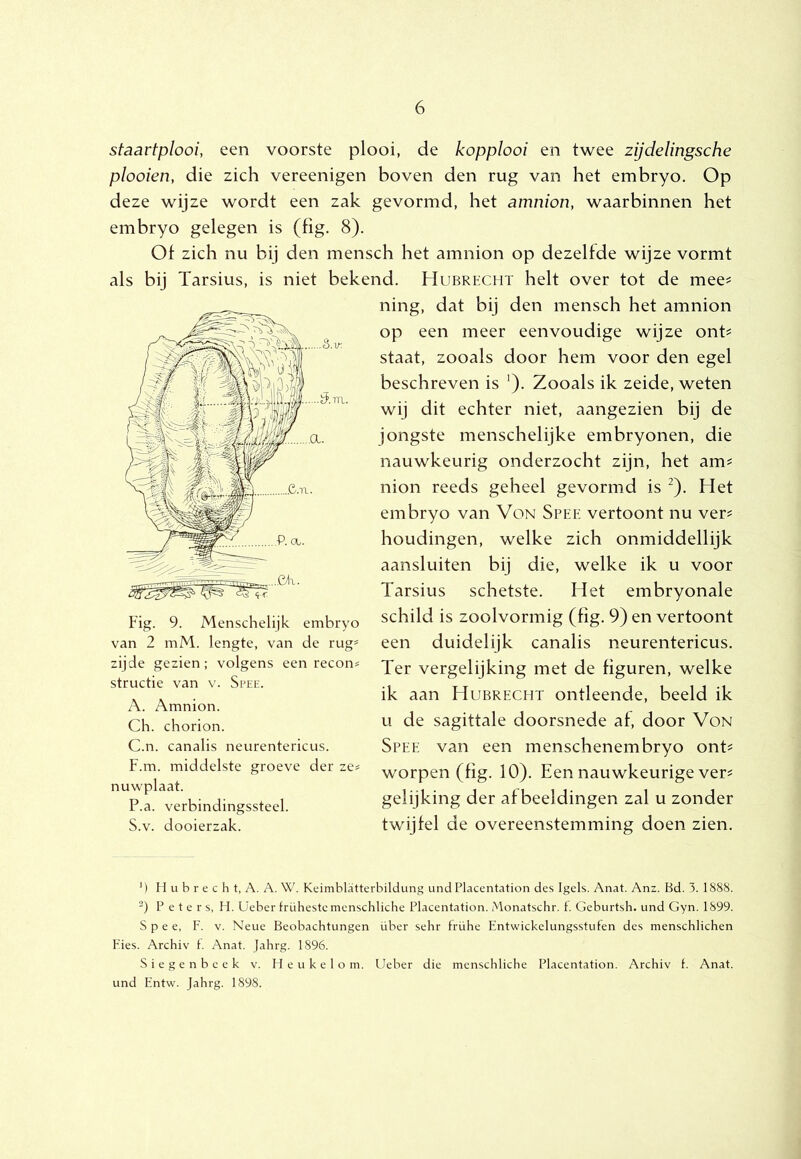staartplooi, een voorste plooi, de kopplooi en twee zijdelingsche plooien, die zich vereenigen boven den rug van het embryo. Op deze wijze wordt een zak gevormd, het amnion, waarbinnen het embryo gelegen is (fig. 8). Of zich nu bij den mensch het amnion op dezelfde wijze vormt als bij Tarsius, is niet bekend. Hubrecht helt over tot de mee? ning, dat bij den mensch het amnion op een meer eenvoudige wijze ont? staat, zooals door hem voor den egel beschreven is '). Zooals ik zeide, weten wij dit echter niet, aangezien bij de jongste menschelijke embryonen, die nauwkeurig onderzocht zijn, het am? nion reeds geheel gevormd is ^). Het embryo van Von Spek vertoont nu ver? houdingen, welke zich onmiddellijk aansluiten bij die, welke ik u voor Tarsius schetste. Het embryonale schild is zooivormig (fig. 9) en vertoont een duidelijk canalis neurentericus. Ter vergelijking met de figuren, welke ik aan Hubrecht ontleende, beeld ik u de sagittale doorsnede af, door Von Spee van een menschenembryo ont? worpen (fig. 10). Een nauwkeurige ver? gelijking der afbeeldingen zal u zonder twijfel de overeenstemming doen zien. Fig. 9. Menschelijk embryo van 2 mM. lengte, van de rug^ zijde gezien; volgens een recon^ structie van v. Spee. A. Amnion. Ch. chorion. C.n. canalis neurentericus. F.m. middelste groeve der ze# nuw'plaat. P.a. verbindingssteel. S.v. dooierzak. ’) H ii b r e c h t, A. A. W. Keimblatterbildung und Placentation des Igels. Anat. Anz. Bd. 3. 1888. Peters, H. Üeber frühestc mcnschliche Placentation. Monatschr. f. Geburtsh. und Gyn. 1899. Spee, P. V. Neue Beobachtungen über sehr frühe Entwickelungsstiifen des menschlichen Eies. Archiv f. Anat. Jahrg. 1896. Siegenbcek v. Heukelom. Ueber die menschliche Placentation. Archiv f. Anat. und Entw. Jahrg. 1898.