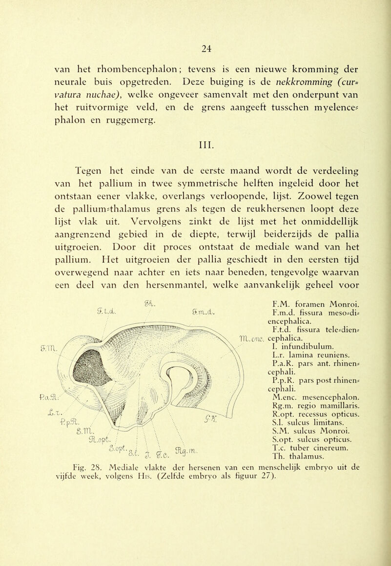 van het rhombencephalon; tevens is een nieuwe kromming der neurale buis opgetreden. Deze buiging is de nekkromming (cur= vafura nuchae), welke ongeveer samenvalt met den onderpunt van het ruitvormige veld, en de grens aangeeft tusschen myelence^ phalon en ruggemerg. III. Tegen het einde van de eerste maand wordt de verdeeling van het pallium in twee symmetrische helften ingeleid door het ontstaan eener vlakke, overlangs verloopende, lijst. Zoowel tegen de palliumThalamus grens als tegen de reukhersenen loopt deze lijst vlak uit. Vervolgens zinkt de lijst met het onmiddellijk aangrenzend gebied in de diepte, terwijl beiderzijds de pallia uitgroeien. Door dit proces ontstaat de mediale wand van het pallium. Het uitgroeien der pallia geschiedt in den eersten tijd overwegend naar achter en iets naar beneden, tengevolge waarvan een deel van den hersenmantel, welke aanvankelijk geheel voor F.M. foramen Monroi. F.m.d. fissura meso=di= encephalica. F.t.d. fissura tele^dien? TTL.c/nc-, cephalica. I. infundibulum. L. r. lamina reuniens. P.a.R. pars ant. rhinen# cephali. P.p.R. pars post rhinen# cephali. M. enc. mesencephalon. Rg.m. regio mamillaris. R. opt. recessus opticus. SA. sulcus limitans. S. M. sulcus Monroi. S. opt. sulcus opticus. T. c. tuber cinereum. Th. thalamus. Fig. 28. Mediale vlakte der hersenen van een menschelijk embryo uit de vijfde week, volgens His. (Zelfde embryo als figuur 27). U. t.cL. Snx.d/. fJl.oyt. ; i \ \
