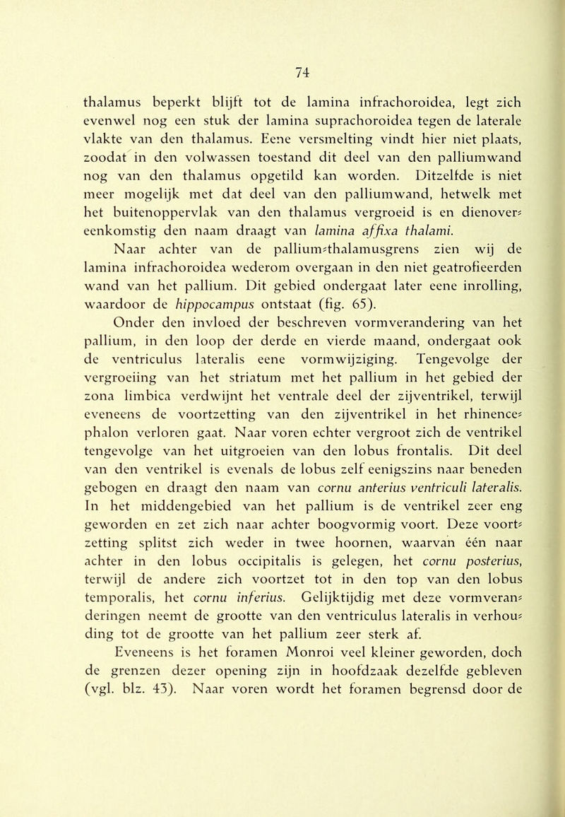 thalamus beperkt blijft tot de lamina infrachoroidea, legt zich evenwel nog een stuk der lamina suprachoroidea tegen de laterale vlakte van den thalamus. Eene versmelting vindt hier niet plaats, zoodat^^in den volwassen toestand dit deel van den palliumwand nog van den thalamus opgetild kan worden. Ditzelfde is niet meer mogelijk met dat deel van den palliumwand, hetwelk met het buitenoppervlak van den thalamus vergroeid is en dienover? eenkomstig den naam draagt van lamina affixa thalami. Naar achter van de pallium^thalamusgrens zien wij de lamina infrachoroidea wederom overgaan in den niet geatrofieerden wand van het pallium. Dit gebied ondergaat later eene inrolling, waardoor de hippocampus ontstaat (fig. 65). Onder den invloed der beschreven vormverandering van het pallium, in den loop der derde en vierde maand, ondergaat ook de ventriculus lateralis eene vorm wijziging. Tengevolge der vergroeiing van het striatum met het pallium in het gebied der zona limbica verdwijnt het ventrale deel der zijventrikel, terwijl eveneens de voortzetting van den zijventrikel in het rhinence? phalon verloren gaat. Naar voren echter vergroot zich de ventrikel tengevolge van het uitgroeien van den lobus frontalis. Dit deel van den ventrikel is evenals de lobus zelf eenigszins naar beneden gebogen en draagt den naam van cornu anterius ventviculi lateralis. In het middengebied van het pallium is de ventrikel zeer eng geworden en zet zich naar achter boogvormig voort. Deze voorT zetting splitst zich weder in twee hoornen, waarvan één naar achter in den lobus occipitalis is gelegen, het cornu posterius, terwijl de andere zich voortzet tot in den top van den lobus temporalis, het cornu inferius. Gelijktijdig met deze vormveran^ deringen neemt de grootte van den ventriculus lateralis in verhouw ding tot de grootte van het pallium zeer sterk af. Eveneens is het foramen Monroi veel kleiner geworden, doch de grenzen dezer opening zijn in hoofdzaak dezelfde gebleven (vgl. blz. 43). Naar voren wordt het foramen begrensd door de