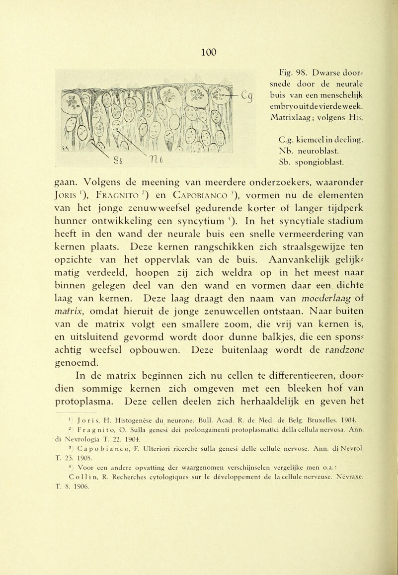 Fig. 98. Dwarse door? snede door de neurale buis van een menschelijk embryo uit de vierde week. Matrixlaag; volgens His. C.g. kiemcel in deeling. Nb. neuroblast. Sb. spongioblast. gaan. Volgens de meening van meerdere onderzoekers, waaronder Joris ^), Fragnito en Capobianco ^), vormen nu de elementen van het jonge zenuwweefsel gedurende korter of langer tijdperk hunner ontwikkeling een syncytium ^). In het syncytiale stadium heeft in den wand der neurale buis een snelle vermeerdering van kernen plaats. Deze kernen rangschikken zich straalsgewijze ten opzichte van het oppervlak van de buis. Aanvankelijk gelijk? matig verdeeld, hoopen zij zich weldra op in het meest naar binnen gelegen deel van den wand en vormen daar een dichte laag van kernen. Deze laag draagt den naam van moederlaag of matrix, omdat hieruit de jonge zenuwcellen ontstaan. Naar buiten van de matrix volgt een smallere zoom, die vrij van kernen is, en uitsluitend gevormd wordt door dunne balkjes, die een spons? achtig weefsel opbouwen. Deze buitenlaag wordt de randzone genoemd. In de matrix beginnen zich nu cellen te difïerentieeren, door? dien sommige kernen zich omgeven met een bleeken hof van protoplasma. Deze cellen deelen zich herhaaldelijk en geven het ' J o r i s, H. Histogenèse du neurone. Buil. Acad. R. de Med. de Belg. Bruxelles. 1904. ) Fragnito, O. Sulla genesi dei prolongamenti protoplasmatici della cellula nervosa. Ann. di Nevrologia T. 22. 1904. Capobianco, F. Ulteriori ricerche sulla genesi delle celluie nervose. Ann. di Nevrol. T. 23. 1905. Voor een andere opvatting der waargenomen verschijnselen vergelijke men o.a.: C o 11 i n, R. Recherches cytologiques sur Ie développement de la celluie ncrveuse. Ncvraxe. T. 8. 1906. Cs