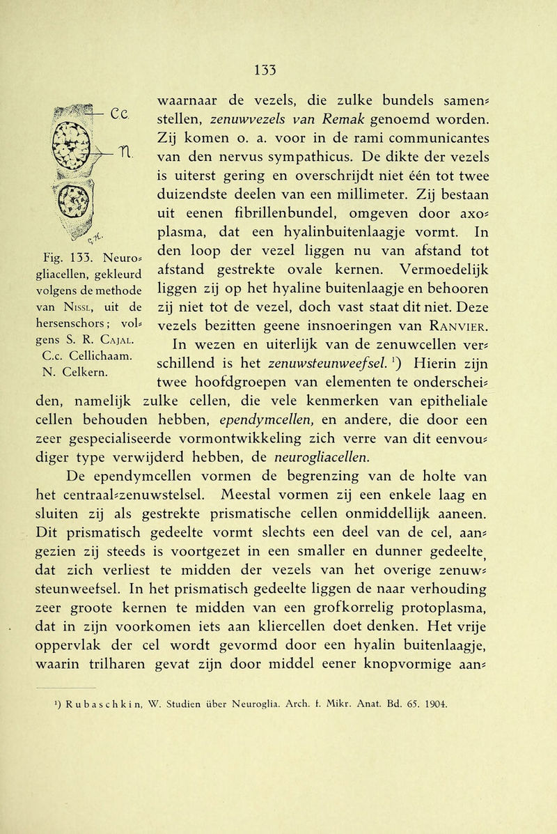 waarnaar de vezels, die zulke bundels samen? stellen, zenuwvezels van Remak genoemd worden. Zij komen o. a. voor in de rami communicantes van den nervus sympathicus. De dikte der vezels is uiterst gering en overschrijdt niet één tot twee duizendste deelen van een millimeter. Zij bestaan uit eenen fibrillenbundel, omgeven door axo? plasma, dat een hyalinbuitenlaagje vormt. In den loop der vezel liggen nu van afstand tot afstand gestrekte ovale kernen. Vermoedelijk liggen zij op het hyaline buitenlaagje en behooren zij niet tot de vezel, doch vast staat dit niet. Deze vezels bezitten geene insnoeringen van Ranvier. In wezen en uiterlijk van de zenuwcellen ver? schillend is het zenuwsteunweefsel Hierin zijn twee hoofdgroepen van elementen te onderschei? den, namelijk zulke cellen, die vele kenmerken van epitheliale cellen behouden hebben, ependymcellen, en andere, die door een zeer gespecialiseerde vormontwikkeling zich verre van dit eenvou? diger type verwijderd hebben, de neurogliacellen. De ependymcellen vormen de begrenzing van de holte van het centraal?zenuwstelsel. Meestal vormen zij een enkele laag en sluiten zij als gestrekte prismatische cellen onmiddellijk aaneen. Dit prismatisch gedeelte vormt slechts een deel van de cel, aan? gezien zij steeds is voortgezet in een smaller en dunner gedeelte dat zich verliest te midden der vezels van het overige zenuw? steunweefsel. In het prismatisch gedeelte liggen de naar verhouding zeer groote kernen te midden van een grofkorrelig protoplasma, dat in zijn voorkomen iets aan kliercellen doet denken. Het vrije oppervlak der cel wordt gevormd door een hyalin buitenlaagje, waarin trilharen gevat zijn door middel eener knopvormige aan? Cc Fig. 133. Neuron gliacellen, gekleurd volgens de methode van Nissl, uit de hersenschors; voh gens S. R. Cajal. C.c. Cellichaam. N. Celkern. ') Rubaschkin, W. Studiën über Neuroglia. Arch. f. Mikr. Anat. Bd. 65. 1904.