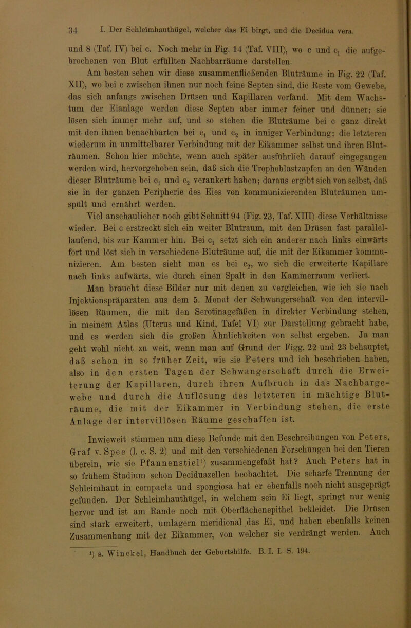 und 8 (Taf. IY) bei c. Noch mehr in Fig. 14 (Taf. VIII), wo c und cx die aufge- brochenen von Blut erfüllten Nachbarräume darstellen. Am besten sehen wir diese zusammenlließenden Bluträume in Fig. 22 (Taf. XII), wo bei c zwischen ihnen nur noch feine Septen sind, die Reste vom Gewebe, das sich anfangs zwischen Drüsen und Kapillaren vorfand. Mit dem Wachs- tum der Eianlage werden diese Septen aber immer feiner und dünner; sie lösen sich immer mehr auf, und so stehen die Bluträume bei c ganz direkt mit den ihnen benachbarten bei Cj und c2 in inniger Verbindung; die letzteren wiederum in unmittelbarer Verbindung mit der Eikammer selbst und ihren ßlut- räumen. Schon hier möchte, wenn auch später ausführlich darauf eingegangen werden wird, hervorgehoben sein, daß sich die Trophoblastzapfen an den Wänden dieser Bluträume bei Cj und c2 verankert haben; daraus ergibt sich von selbst, daß sie in der ganzen Peripherie des Eies von kommunizierenden Bluträumen um- spült und ernährt werden. Viel anschaulicher noch gibt Schnitt 94 (Fig. 23, Taf. XIII) diese Verhältnisse wieder. Bei c erstreckt sich ein weiter Blutraum, mit den Drüsen fast parallel- laufend, bis zur Kammer hin. Bei ct setzt sich ein anderer nach links einwärts fort und löst sich in verschiedene Bluträume auf, die mit der Eikammer kommu- nizieren. Am besten sieht man es bei c2, wo sich die erweiterte Kapillare nach links aufwärts, wie durch einen Spalt in den Kammerraum verliert. Man braucht diese Bilder nur mit denen zu vergleichen, wie ich sie nach Injektionspräparaten aus dem 5. Monat der Schwangerschaft von den intervil- lösen Räumen, die mit den Serotinagefäßen in direkter Verbindung stehen, in meinem Atlas (Uterus und Kind, Tafel VI) zur Darstellung gebracht habe, und es werden sich die großen Ähnlichkeiten von selbst ergeben. Ja man geht wohl nicht zu weit, wenn man auf Grund der Figg. 22 und 23 behauptet, daß schon in so früher Zeit, wie sie Peters und ich beschrieben haben, also in den ersten Tagen der Schwangerschaft durch die Erwei- terung der Kapillaren, durch ihren Aufbruch in das Nachbarge- webe und durch die Auflösung des letzteren in mächtige Blut- räume, die mit der Eikammer in Verbindung stehen, die erste Anlage der intervillösen Räume geschaffen ist. Inwieweit stimmen nun diese Befunde mit den Beschreibungen von Peters, Graf v. Spee (1. c. S. 2) und mit den verschiedenen Forschungen bei den Tieren überein, wie sie Pfannenstiel1) zusammengefaßt hat? Auch Peters hat in so frühem Stadium schon Deciduazellen beobachtet. Die scharfe Trennung der Schleimhaut in compacta und spongiosa hat er ebenfalls noch nicht ausgeprägt gefunden. Der Schleimhauthügel, in welchem sein Ei liegt, springt nur wenig hervor und ist am Rande noch mit Oberflächenepithel bekleidet. Die Drüsen sind stark erweitert, umlagern meridional das Ei, und haben ebenfalls keinen Zusammenhang mit der Eikammer, von welcher sie verdrängt werden. Auch i) s. Win ekel, Handbuch der Geburtshilfe. B. I. I. S. 194.