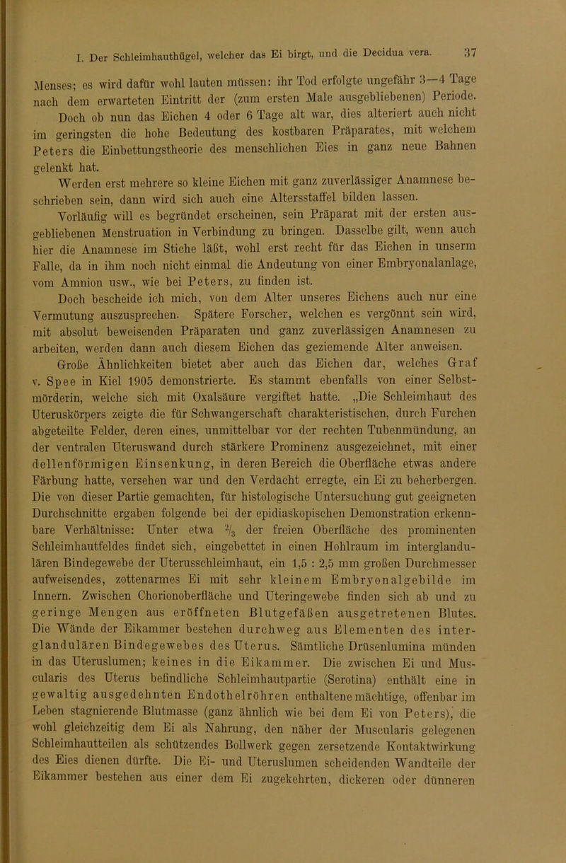Menses; es wird dafür wohl lauten müssen: ihr Tod erfolgte ungefähr 3—4 Tage nach dem erwarteten Eintritt der (zum ersten Male ausgebliebenen) Periode. Doch ob nun das Eichen 4 oder 6 Tage alt war, dies alteriert auch nicht im geringsten die hohe Bedeutung des kostbaren Präparates, mit welchem Peters die Einbettungstheorie des menschlichen Eies in ganz neue Bahnen gelenkt hat. Werden erst mehrere so kleine Eichen mit ganz zuverlässiger Anamnese be- schrieben sein, dann wird sich auch eine Altersstaflel bilden lassen. Vorläufig will es begründet erscheinen, sein Präparat mit der ersten aus- gebliebenen Menstruation in Verbindung zu bringen. Dasselbe gilt, wenn auch hier die Anamnese im Stiche läßt, wohl erst recht für das Eichen in unserm Falle, da in ihm noch nicht einmal die Andeutung von einer Embryonalanlage, vom Amnion usw., wie bei Peters, zu finden ist. Doch bescheide ich mich, von dem Alter unseres Eichens auch nur eine Vermutung auszusprechen. Spätere Forscher, welchen es vergönnt sein wird, mit absolut beweisenden Präparaten und ganz zuverlässigen Anamnesen zu arbeiten, werden dann auch diesem Eichen das geziemende Alter anweisen. Große Ähnlichkeiten bietet aber auch das Eichen dar, welches Graf v. Spee in Kiel 1905 demonstrierte. Es stammt ebenfalls von einer Selbst- mörderin, welche sich mit Oxalsäure vergiftet hatte. „Die Schleimhaut des Uteruskörpers zeigte die für Schwangerschaft charakteristischen, durch Furchen abgeteilte Felder, deren eines, unmittelbar vor der rechten Tubenmündung, an der ventralen Uteruswand durch stärkere Prominenz ausgezeichnet, mit einer dellenförmigen Einsenkung, in deren Bereich die Oberfläche etwas andere Färbung hatte, versehen war und den Verdacht erregte, ein Ei zu beherbergen. Die von dieser Partie gemachten, für histologische Untersuchung gut geeigneten Durchschnitte ergaben folgende bei der epidiaskopischen Demonstration erkenn- bare Verhältnisse: Unter etwa 2/3 der freien Oberfläche des prominenten Schleimhautfeldes findet sich, eingebettet in einen Hohlraum im interglandu- lären Bindegewebe der Uterusschleimbaut, ein 1,5 : 2,5 mm großen Durchmesser aufweisendes, zottenarmes Ei mit sehr kleinem Embryonalgebilde im Innern. Zwischen Chorionoberfläche und Uteringewebe finden sich ab und zu geringe Mengen aus eröffneten Blutgefäßen ausgetretenen Blutes. Die Wände der Eikammer bestehen durchweg aus Elementen des inter- glandulären Bindegewebes des Uterus. Sämtliche Drüsenlumina münden in das Uteruslumen; keines in die Eikammer. Die zwischen Ei und Mus- cularis des Uterus befindliche Schleimhautpartie (Serotina) enthält eine in gewaltig ausgedehnten Endothelröhren enthaltene mächtige, offenbar im Leben stagnierende Blutmasse (ganz ähnlich wie bei dem Ei von Peters),' die wohl gleichzeitig dem Ei als Nahrung, den näher der Muscularis gelegenen Schleimhautteilen als schützendes Bollwerk gegen zersetzende Kontaktwirkung des Eies dienen dürfte. Die Ei- und Uteruslumen scheidenden Wandteile der Eikammer bestehen aus einer dem Ei zugekehrten, dickeren oder dünneren