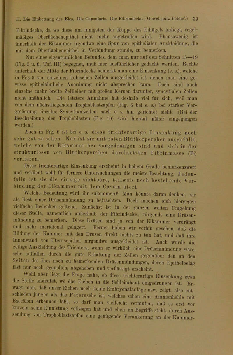 Fibrindecke, da wo diese am innigsten der Kuppe des Eihügels anliegt, regel- mäßiges Oberflächenepithel nicht mehr angetroffen wird. Ebensowenig ist innerhalb der Eikammer irgendwo eine Spur von epithelialer Auskleidung, die mit dem Oberflächenepithel in Verbindung stünde, zu bemerken. Kur eines eigentümlichen Befundes, dem man nur auf den Schnitten 15—19 (Fig. 5 u. 6, Taf. III) begegnet, muß hier ausführlicher gedacht werden. Rechts unterhalb der Mitte der Fibrindecke bemerkt man eine Einsenkung (e. s.), welche in Fig. 5 von einzelnen kubischen Zellen ausgekleidet ist, denen man eine ge- wisse epithelähnliche Anordnung nicht absprechen kann. Doch sind auch einzelne mehr breite Zellleiber mit großen Kernen darunter, syncytialen Zellen nicht unähnlich. Die letztere Annahme hat deshalb viel für sich, weil man von dem nächstliegenden Trophoblastzapfen (Fig. 6 bei e. s.) bei starker Ver- größerung einzelne Syncytiumzellen nach e. s. hin gerichtet sieht. (Bei der Beschreibung des Trophoblasten (Fig. 10) wird hierauf näher eingegangen werden.) Auch in Fig. 6 ist bei e. s. diese trichterartige Einsenkung noch sehr gut zusehen. Nur ist sie mit roten Blutkörperchen ausgefüllt, welche von der Eikammer her vorgedrungen sind und sich in der strukturlosen von Blutkörperchen durchsetzten Fibrinmasse (Fi) verlieren. Diese trichterartige Einsenkung erscheint in hohem Grade bemerkenswert und verdient wohl für fernere Untersuchungen die meiste Beachtung. Jeden- falls ist sie die einzige sichtbare, teilweis noch bestehende Ver- bindung der Eikammer mit dem Cavurn uteri. Welche Bedeutung wird ihr zukommen? Man könnte daran denken, sie als Rest einer Drüsenmündung zu betrachten. Doch machen sich hiergegen vielfache Bedenken geltend. Zunächst ist in der ganzen weiten Umgebung dieser Stelle, namentlich außerhalb der Fibrindecke, nirgends eine Drüsen- mündung zu bemerken. Diese Drüsen sind ja von der Eikammer verdrängt und mehr meridional gelagert. Ferner haben wir vorhin gesehen, daß die Bildung der Kammer mit den Drüsen direkt nichts zu tun hat, und daß ihre Innenwand von Uterusepithel nirgendwo ausgekleidet ist. Auch würde die zeitige Auskleidung des Trichters, wenn er wirklich eine Drüsenmündung wäre, sehr auffallen durch die gute Erhaltung der Zellen gegenüber den an den Seiten des Eies noch zu bemerkenden Drüsenmündungen, deren Epithelbelag fast nur noch gequollen, abgehoben und verflüssigt erscheint. Wohl aber liegt die Frage nahe, ob diese trichterartige Einsenkung etwa die Stelle andeutet, wo das Eichen in die Schleimhaut eingedrungen ist. Er- wägt man, daß unser Eichen noch keine Embryonalanlage usw. zeigt, also ent- schieden jünger als das Peterssche ist, welches schon eine Amnionhöhle mit Exocölom erkennen läßt, so darf man vielleicht vermuten, daß es erst vor kurzem seine Einnistung vollzogen hat und eben im Begriffe steht, durch Aus- sendung von Trophoblastzapfen eine genügende Verankerung an der Kammer-