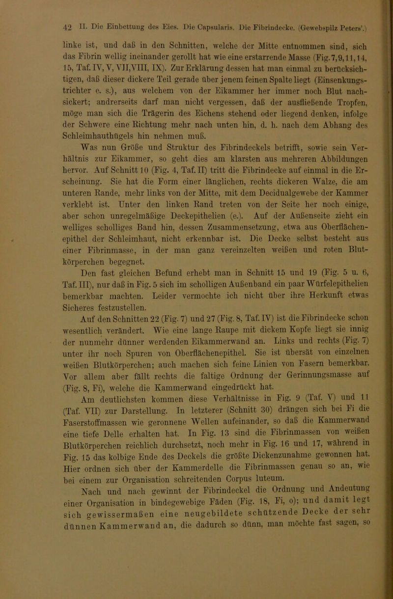 linke ist, und daß in den Schnitten, welche der Mitte entnommen sind, sich das Fibrin wellig ineinander gerollt hat wie eine erstarrende Masse (Tig.7,9,11,14, 15, Taf. IV, Y, VII,VIII, IX). Zur Erklärung dessen hat man einmal zu berücksich- tigen, daß dieser dickere Teil gerade über jenem feinen Spalte liegt (Einsenkungs- trichter e. s.), aus welchem von der Eikammer her immer noch Blut nach- sickert; andrerseits darf man nicht vergessen, daß der ausüießende Tropfen, möge man sich die Trägerin des Eichens stehend oder liegend denken, infolge der Schwere eine Richtung mehr nach unten hin, d. h. nach dem Abhang des Schleimhauthügels hin nehmen muß. Was nun Größe und Struktur des Fibrindeckels betrifft, sowie sein Ver- hältnis zur Eikammer, so geht dies am klarsten aus mehreren Abbildungen hervor. Auf Schnitt 10 (Fig. 4, Taf. II) tritt die Fibrindecke auf einmal in die Er- scheinung. Sie hat die Form einer länglichen, rechts dickeren Walze, die am unteren Rande, mehr links von der Mitte, mit dem Decidualgewebe der Kammer verklebt ist. Unter den linken Rand treten von der Seite her noch einige, aber schon unregelmäßige Deckepithelien (e.). Auf der Außenseite zieht ein welliges scholliges Band hin, dessen Zusammensetzung, etwa aus Oberflächen- epithel der Schleimhaut, nicht erkennbar ist. Die Decke selbst besteht aus einer Fibrinmasse, in der man ganz vereinzelten weißen und roten Blut- körperchen begegnet. Den fast gleichen Befund erhebt man in Schnitt 15 und 19 (Fig. 5 u. 6, Taf. III), nur daß in Fig. 5 sich im scholligen Außenband ein paar Würfelepithelien bemerkbar machten. Leider vermochte ich nicht über ihre Herkunft etwas Sicheres festzustellen. Auf den Schnitten 22 (Fig. 7) und 27 (Fig. 8, Taf. IV) ist die Fibrindecke schon wesentlich verändert. Wie eine lange Raupe mit dickem Kopfe liegt sie innig der nunmehr dünner werdenden Eikammerwand an. Links und rechts (Fig. 7) unter ihr noch Spuren von Oberflächenepithel. Sie ist übersät von einzelnen weißen Blutkörperchen; auch machen sich feine Linien von Fasern bemerkbar. Vor allem aber fällt rechts die faltige Ordnung der Gerinnungsmasse auf (Fig. 8, Fi), welche die Kammerwand eingedrückt hat. Am deutlichsten kommen diese Verhältnisse in Fig. 9 (Taf. V) und 11 (Taf. VII) zur Darstellung. In letzterer (Schnitt 30) drängen sich bei Fi die Faserstoffmassen wie geronnene Wellen aufeinander, so daß die Kammerwand eine tiefe Delle erhalten hat. In Fig. 13 sind die Fibrinmassen von weißen Blutkörperchen reichlich durchsetzt, noch mehr in Fig. 16 und 17, während in Fig. 15 das kolbige Ende des Deckels die größte Dickenzunahme gewonnen hat. Hier ordnen sich über der Kammerdelle die Fibrinmassen genau so an, wii bei einem zur Organisation schreitenden Corpus luteum. Nach und nach gewinnt der Fibrindeckel die Ordnung und Andeutung einer Organisation in bindegewebige Fäden (Fig. 18, Fi, o); und damit legt sich gewissermaßen eine neugebildete schützende Decke der sehr dünnen Kamm er wand an, die dadurch so dünn, man möchte fast sagen, so