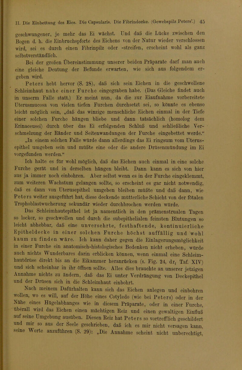 geschwungener, je mehr das Ei wächst. Und daß die Lücke zwischen den Bogen d. h. die Einbruchspforte des Eichens von der Natur wieder verschlossen wird, sei es durch einen Fibrinpilz oder -streifen, erscheint wohl als ganz selbstverständlich. Bei der großen Übereinstimmung unserer beiden Präparate darf man auch eine gleiche Deutung der Befunde erwarten, wie sich aus folgendem er- gehen wird. Peters hebt hervor (S. 28), daß sich sein Eichen in die geschwollene Schleimhaut nahe einer Furche eingegraben habe. (Das Gleiche findet auch in unserm Falle statt.) Er meint nun, da die zur Eiaufnahme vorbereitete Uterusmucosa von vielen tiefen Furchen durchsetzt sei, so könnte es ebenso leicht möglich sein, „daß das winzige menschliche Eichen einmal in der Tiefe einer solchen Furche hängen bliebe und dann tatsächlich (homolog dem Erinaceusei) durch über das Ei erfolgenden Schluß und schließliche Ver- schmelzung der Bänder und Seitenwandungen der Furche eingebettet werde.“ „In einem solchen Falle würde dann allerdings das Ei ringsum vom Uterus- epithel umgeben sein und müßte eine oder die andere Drüsenmündung im Ei vorgefunden werden.“ Ich halte es für wohl möglich, daß das Eichen auch einmal in eine solche Furche gerät und in derselben hängen bleibt. Dann kann es sich von hier aus ja immer noch einbohren. Aber selbst wenn es in der Furche eingeklemmt, zum weiteren Wachstum gelangen sollte, so erscheint es gar nicht notwendig, daß es dann von Uterusepithel umgeben bleiben müßte und daß dann, wie Peters weiter ausgeführt hat, diese deckende mütterliche Schicht von der fötalen Trophoblastwucherung sekundär wieder durchbrochen werden würde. Das Schleimhautepithel ist ja namentlich in den prämenstrualen Tagen so locker, so geschwollen und durch die subepithelialen feinsten Blutungen so leicht abhebbar, daß eine unversehrte, festhaftende, kontinuierliche Epitheldecke in einer solchen Furche höchst auffällig und wohl kaum zu finden wäre. Ich kann daher gegen die Einlagerungsmöglichkeit in einer Furche ein anatomisch-histologisches Bedenken nicht erheben, würde auch nichts Wunderbares darin erblicken können, wenn einmal eine Schleim- hautdrüse direkt bis an die Eikammer heranrücken (s. Fig. 24, drx Taf. XIV) und sich scheinbar in ihr öffnen sollte. Alles dies brauchte an unserer jetzigen Annahme nichts zu ändern, daß das Ei unter Verdrängung von Deckepithel und der Drüsen sich in die Schleimhaut einbohrt. Nach meinem Dafürhalten kann sich das Eichen anlegen und einbohren wollen, wo es will, auf der Höhe eines Cotyledo (wie bei Peters) oder in der Nähe eines Hügelabhanges wie in diesem Präparate, oder in einer Furche, überall wird das Eichen einen mächtigen Beiz und einen gewaltigen Einfluß auf seine Umgebung ausüben. Diesen Beiz hat Peters so vortrefflich geschildert und mir so aus der Seele geschrieben, daß ich es mir nicht versagen kann, seine Worte anzuführen (S. 29): „Die Annahme scheint nicht unberechtigt,