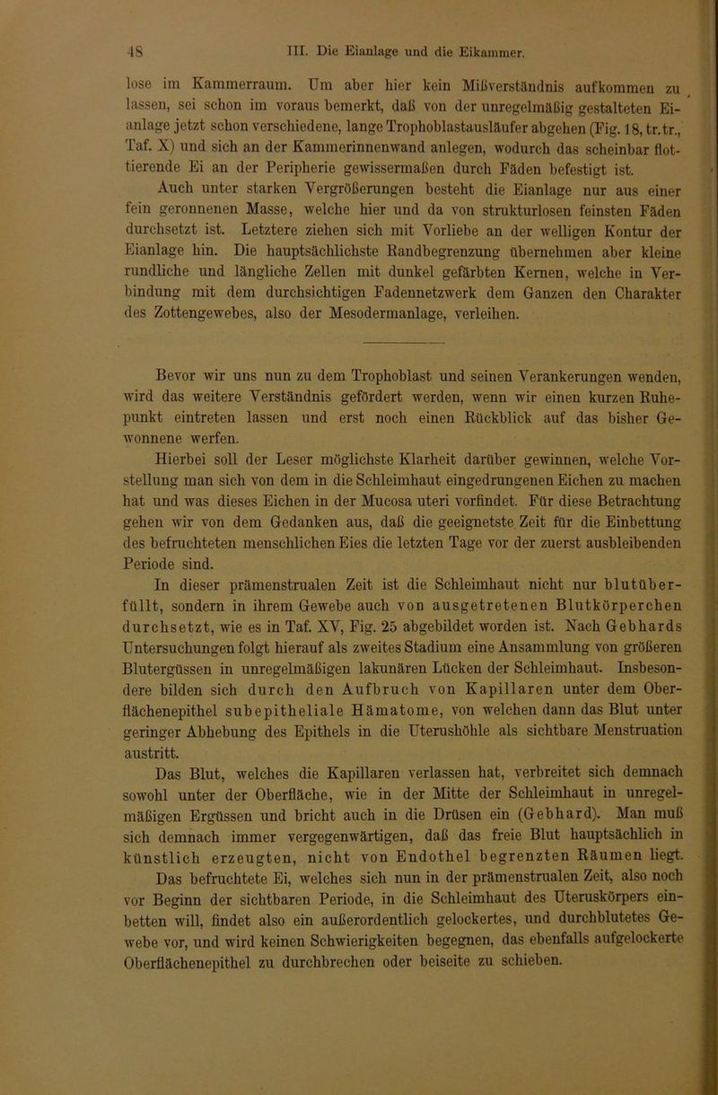 lose im Kammerraum. Um aber hier kein Mißverständnis aufkommen zu lassen, sei schon im voraus bemerkt, daß von der unregelmäßig gestalteten Ei- anlage jetzt schon verschiedene, lange Trophoblastausläufer abgehen (Fig. 18, tr.tr., Taf. X) und sich an der Kammerinnenwand anlegen, wodurch das scheinbar flot- tierende Ei an der Peripherie gewissermaßen durch Fäden befestigt ist. Auch unter starken Vergrößerungen besteht die Eianlage nur aus einer fein geronnenen Masse, welche hier und da von strukturlosen feinsten Fäden durchsetzt ist. Letztere ziehen sich mit Vorliebe an der welligen Kontur der Eianlage hin. Die hauptsächlichste Randbegrenzung übernehmen aber kleine rundliche und längliche Zellen mit dunkel gefärbten Kernen, welche in Ver- bindung mit dem durchsichtigen Fadennetzwerk dem Ganzen den Charakter des Zottengewebes, also der Mesodermanlage, verleihen. Bevor wir uns nun zu dem Trophoblast und seinen Verankerungen wenden, wird das weitere Verständnis gefördert werden, wenn wir einen kurzen Ruhe- punkt eintreten lassen und erst noch einen Rückblick auf das bisher Ge- wonnene werfen. Hierbei soll der Leser möglichste Klarheit darüber gewinnen, welche Vor- stellung man sich von dem in die Schleimhaut eingedrungenen Eichen zu machen hat und was dieses Eichen in der Mucosa uteri vorfindet. Für diese Betrachtung gehen wir von dem Gedanken aus, daß die geeignetste Zeit für die Einbettung des befruchteten menschlichen Eies die letzten Tage vor der zuerst ausbleibenden Periode sind. In dieser prämenstrualen Zeit ist die Schleimhaut nicht nur blutüber- füllt, sondern in ihrem Gewebe auch von ausgetretenen Blutkörperchen durchsetzt, wie es in Taf. XV, Fig. 25 abgebildet worden ist. Nach Gebhards Untersuchungen folgt hierauf als zweites Stadium eine Ansammlung von größeren Blutergüssen in unregelmäßigen lakunären Lücken der Schleimhaut. Insbeson- dere bilden sich durch den Aufbruch von Kapillaren unter dem Ober- flächenepithel subepitheliale Hämatome, von welchen dann das Blut unter geringer Abhebung des Epithels in die Uterushöhle als sichtbare Menstruation austritt. Das Blut, welches die Kapillaren verlassen hat, verbreitet sich demnach sowohl unter der Oberfläche, wie in der Mitte der Schleimhaut in unregel- mäßigen Ergüssen und bricht auch in die Drüsen ein (Gebhard). Man muß sich demnach immer vergegenwärtigen, daß das freie Blut hauptsächlich in künstlich erzeugten, nicht von Endothel begrenzten Räumen liegt. Das befruchtete Ei, welches sich nun in der prämenstrualen Zeit, also noch vor Beginn der sichtbaren Periode, in die Schleimhaut des Uteruskörpers ein- betten will, findet also ein außerordentlich gelockertes, und durchblutetes Ge- webe vor, und wird keinen Schwierigkeiten begegnen, das ebenfalls aufgelockerte Oberflächenepithel zu durchbrechen oder beiseite zu schieben.