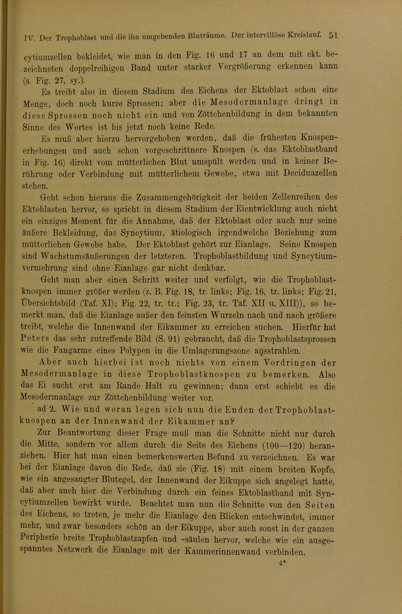 cytiumzellen bekleidet, wie man in den Fig. IG und 17 an dem mit ekt. be- zeichnten doppelreihigen Band unter starker Vergrößerung erkennen kann (s. Fig. 27, sy.). Es treibt also in diesem Stadium des Eichens der Ektoblast schon eine Menge, doch noch kurze Sprossen; aber die Mesodermanlage dringt in diese Sprossen noch nicht ein und von Zöttchenbildung in dem bekannten Sinne des Wortes ist bis jetzt noch keine Bede. Es muß aber hierzu hervorgehoben werden, daß die frühesten Knospen- erhebungen und auch schon vorgeschrittnere Knospen (s. das Ektoblastband in Fig. 16) direkt vom mütterlichen Blut umspült werden und in keiner Be- rührung oder Verbindung mit mütterlichem Gewebe, etwa mit Deciduazellen stehen. Geht schon hieraus die Zusammengehörigkeit der beiden Zellenreihen des Ektohlasten hervor, so spricht in diesem Stadium der Eientwicklung auch nicht ein einziges Moment für die Annahme, daß der Ektoblast oder auch nur seine äußere Bekleidung, das SyncjTium, ätiologisch irgendwelche Beziehung zum mütterlichen Gewebe habe. Der Ektoblast gehört zur Eianlage. Seine Knospen sind Wachstumsäußerungen der letzteren. Trophoblastbildung und Syncytium- vermehrung sind ohne Eianlage gar nicht denkbar. Geht man aber einen Schritt weiter und verfolgt, wie die Trophoblast- knospen immer größer werden (z. B. Fig. 18, tr. links; Fig. 16, tr. links; Fig. 21, Übersichtsbild (Taf. XI); Fig. 22, tr. tr.; Fig. 23, tr. Taf. XII u. XIII)), so be- merkt man, daß die Eianlage außer den feinsten Wurzeln nach und nach größere treibt, welche die Innenwand der Eikammer zu erreichen suchen. Hierfür hat Peters das sehr zutreffende Bild (S. 91) gebraucht, daß die Trophoblastsprossen wie die Fangarme eines Polypen in die Umlagerungszone ausstrahlen. Aber auch hierbei ist noch nichts von einem Vordringen der Mesodermanlage in diese Trophoblastknospen zu bemerken. Also das Ei sucht erst am Bande Halt zu gewinnen; dann erst schiebt es die Mesodermanlage zur Zöttchenbildung weiter vor. ad 2. Wie und woran legen sich nun die Enden der Trophoblast- knospen an der Innenwand der Eikammer an? Zur Beantwortung dieser Frage muß man die Schnitte nicht nur durch die Mitte, sondern vor allem durch die Seite des Eichens (100—120) heran- ziehen. Hier hat man einen bemerkenswerten Befund zu verzeichnen. Es war bei der Eianlage davon die Bede, daß sie (Fig. 18) mit einem breiten Kopfe, wie ein angesaugter Blutegel, der Innenwand der Eikuppe sich angelegt hatte, daß aber auch hier die Verbindung durch ein feines Ektoblastband mit Syn- cytiumzellen bewirkt wurde. Beachtet man nun die Schnitte von den Seiten des Eichens, so treten, je mehr die Eianlage den Blicken entschwindet, immer mehr, und zwar besonders schön an der Eikuppe, aber auch sonst in der ganzen Peripherie breite Trophoblastzapfen und -Säulen hervor, welche wie ein ausge- spanntes Netzwerk die Eianlage mit der Kammerinnenwand verbinden. 4*