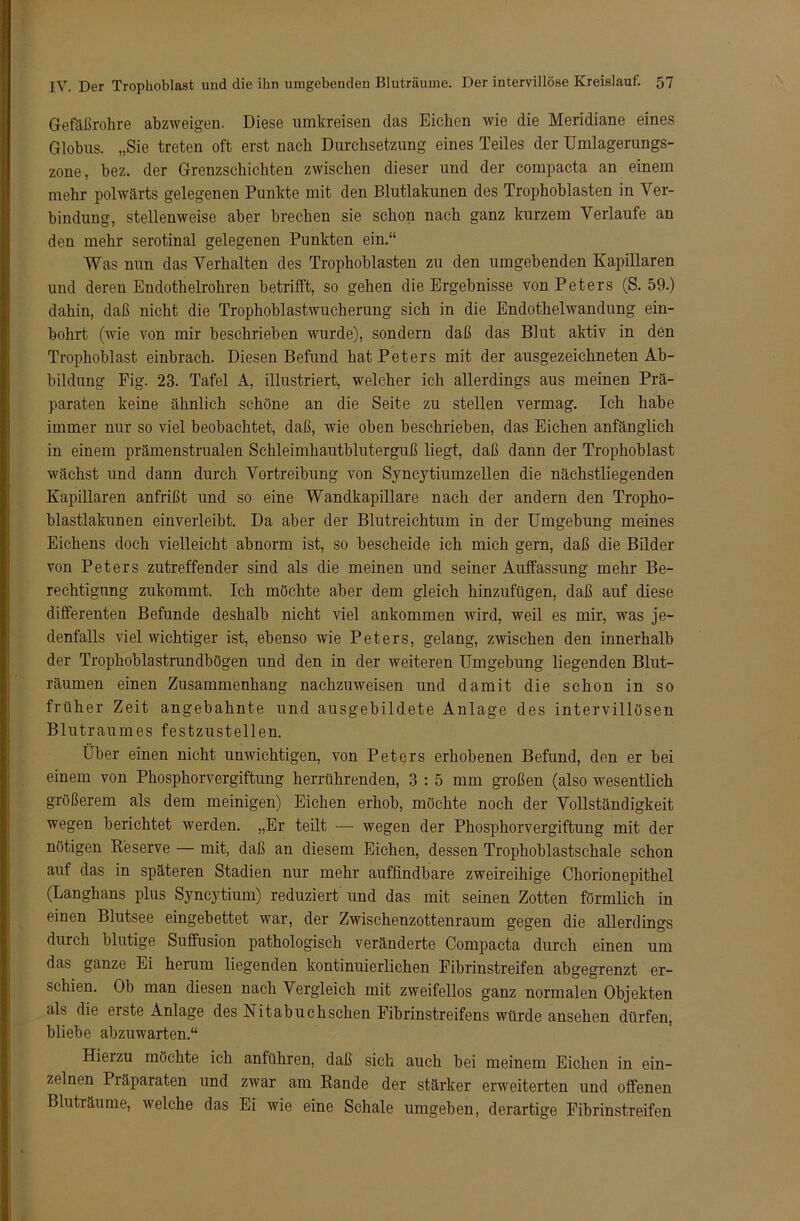 Gefäßrohre abzweigen. Diese umkreisen das Eichen wie die Meridiane eines Globus. „Sie treten oft erst nach Durchsetzung eines Teiles der Umlagerungs- zone, bez. der Grenzschichten zwischen dieser und der compacta an einem mehr polwärts gelegenen Punkte mit den Blutlakunen des Trophoblasten in Ver- bindung, stellenweise aber brechen sie schon nach ganz kurzem Verlaufe an den mehr serotinal gelegenen Punkten ein.“ Was nun das Verhalten des Trophoblasten zu den umgebenden Kapillaren und deren Endothelrohren betrifft, so gehen die Ergebnisse von Peters (S. 59.) dahin, daß nicht die Trophoblastwucherung sich in die Endothelwandung ein- bohrt (wie von mir beschrieben wurde), sondern daß das Blut aktiv in den Trophoblast einbrach. Diesen Befund hat Peters mit der ausgezeichneten Ab- bildung Fig. 23. Tafel A, illustriert, welcher ich allerdings aus meinen Prä- paraten keine ähnlich schöne an die Seite zu stellen vermag. Ich habe immer nur so viel beobachtet, daß, wie oben beschrieben, das Eichen anfänglich in einem prämenstrualen Schleimhautbluterguß liegt, daß dann der Trophoblast wächst und dann durch Vortreibung von Syncytiumzellen die nächstliegenden Kapillaren anfrißt und so eine Wandkapillare nach der andern den Tropho- blastlakunen einverleibt. Da aber der Blutreichtum in der Umgebung meines Eichens doch vielleicht abnorm ist, so bescheide ich mich gern, daß die Bilder von Peters zutreffender sind als die meinen und seiner Auffassung mehr Be- rechtigung zukommt. Ich möchte aber dem gleich hinzufügen, daß auf diese differenten Befunde deshalb nicht viel ankommen wird, weil es mir, was je- denfalls viel wichtiger ist, ebenso wie Peters, gelang, zwischen den innerhalb der Trophoblastrundbögen und den in der weiteren Umgebung liegenden Blut- räumen einen Zusammenhang nachzuweisen und damit die schon in so früher Zeit angebahnte und ausgebildete Anlage des intervillösen Blutraumes festzustellen. Über einen nicht unwichtigen, von Peters erhobenen Befund, den er bei einem von Phosphorvergiftung herrührenden, 3 : 5 mm großen (also wesentlich größerem als dem meinigen) Eichen erhob, möchte noch der Vollständigkeit wegen berichtet werden. „Er teilt — wegen der Phosphorvergiftung mit der nötigen Reserve — mit, daß an diesem Eichen, dessen Trophoblastschale schon auf das in späteren Stadien nur mehr auffindbare zweireihige Chorionepithel (Langhans plus Syncytium) reduziert und das mit seinen Zotten förmlich in einen Blutsee eingebettet war, der Zwischenzottenraum gegen die allerdings durch blutige Suffusion pathologisch veränderte Compacta durch einen um das ganze Ei herum liegenden kontinuierlichen Fibrinstreifen abgegrenzt er- schien. Ob man diesen nach Vergleich mit zweifellos ganz normalen Objekten als die erste Anlage des Nitabuckschen Fibrinstreifens würde ansehen dürfen, bliebe abzuwarten.“ Hieizu möchte ich anführen, daß sich auch bei meinem Eichen in ein- zelnen Präparaten und zwar am Rande der stärker erweiterten und offenen Bluträume, welche das Ei wie eine Schale umgeben, derartige Fibrinstreifen