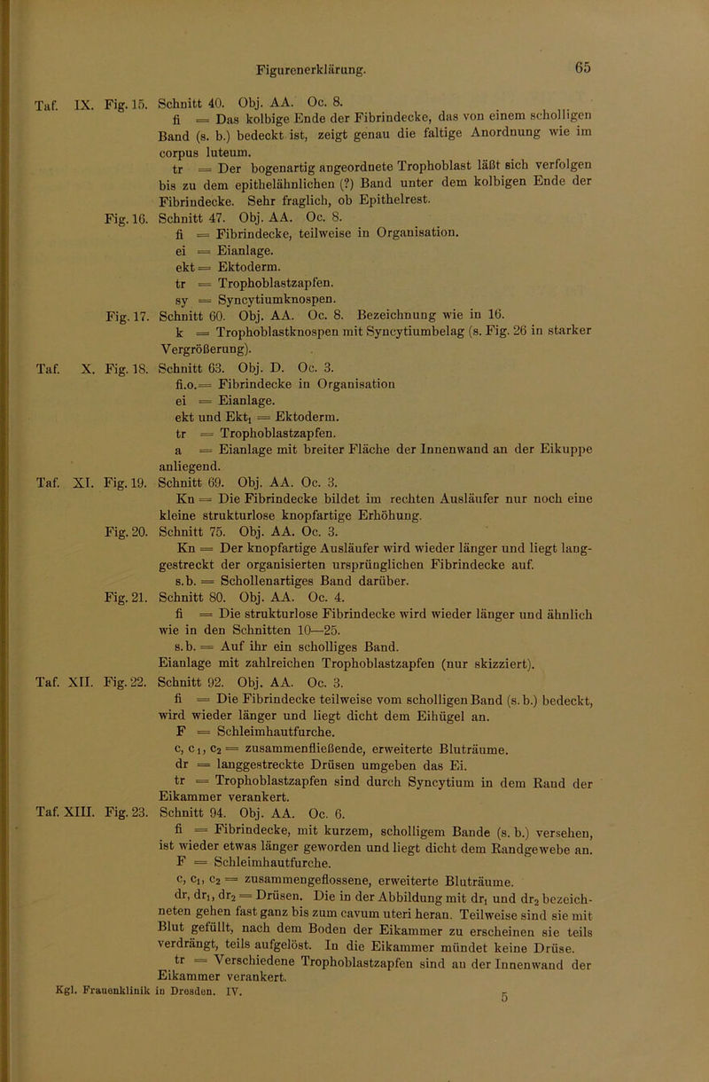 Taf. IX. Fig. 15. Schnitt 40. Obj. AA. Oe. 8. fi = Das kolbige Ende der Fibrindecke, das von einem scholligen Band (s. b.) bedeckt ist, zeigt genau die faltige Anordnung wie im corpus luteum. tr = Der bogenartig angeordnete Trophoblast läßt sich verfolgen bis zu dem epithelähnlichen (?) Band unter dem kolbigen Ende der Fibrindecke. Sehr fraglich, ob Epithelrest. Fig. 16. Schnitt 47. Obj. AA. Oc. 8. fi = Fibrindecke, teilweise in Organisation. ei == Eianlage. ekt= Ektoderm. tr = Trophoblastzapfen. sy = Syncytiumknospen. Fig. 17. Schnitt 60. Obj. AA. Oc. 8. Bezeichnung wie in 16. k = Trophoblastknospen mit Syucytiumbelag (s. Fig. 26 in starker Vergrößerung). Taf. X. Fig. 18. Schnitt 63. Obj. D. Oc. 3. fi.o.= Fibrindecke iu Organisation ei = Eianlage. ekt und Ektt = Ektoderm. tr = Trophoblastzapfen. a = Eianlage mit breiter Fläche der Innenwand an der Eikuppe anliegend. Taf. XI. Fig. 19. Schnitt 69. Obj. AA. Oc. 3. Kn = Die Fibrindecke bildet im rechten Ausläufer nur noch eine kleine strukturlose knopfartige Erhöhung. Fig. 20. Schnitt 75. Obj. AA. Oc. 3. Kn = Der knopfartige Ausläufer wird wieder länger und liegt laug- gestreckt der organisierten ursprünglichen Fibrindecke auf. s.b. = Schollenartiges Band darüber. Fig. 21. Schnitt 80. Obj. AA. Oc. 4. fi = Die strukturlose Fibrindecke wird wieder länger und ähnlich wie in den Schnitten 10—25. s.b. = Auf ihr ein scholliges Band. Eianlage mit zahlreichen Trophoblastzapfen (nur skizziert). Taf. XII. Fig. 22. Schnitt 92. Obj. AA. Oc. 3. fi = Die Fibrindecke teilweise vom scholligen Band (s.b.) bedeckt, wird wieder länger und liegt dicht dem Eihügel an. F = Schleimhautfurche. c, c1; c2 = zusammenfließende, erweiterte Bluträume, dr = langgestreckte Drüsen umgeben das Ei. tr = Trophoblastzapfen sind durch Syncytium in dem Rand der Eikammer verankert. Taf. XIII. Fig. 23. Schnitt 94. Obj. AA. Oc. 6. fi = Fibrindecke, mit kurzem, scholligem Bande (s. b.) versehen, ist wieder etwas länger geworden und liegt dicht dem Randgewebe an. F = Schleimhautfurche. c, Cj, C2 = zusammengeflossene, erweiterte Bluträume, dr, dr^ dr2 = Drüsen. Die in der Abbildung mit drt und dr2 bezeich- neten gehen fast ganz bis zum cavum uteri heran. Teilweise sind sie mit Blut gefüllt, nach dem Boden der Eikammer zu erscheinen sie teils verdrängt, teils aufgelöst. Iu die Eikammer mündet keine Drüse. tr = Verschiedene Trophoblastzapfen sind au der Innenwand der Eikammer verankert. Kgl. Frauenklinik in Dresden. IV.