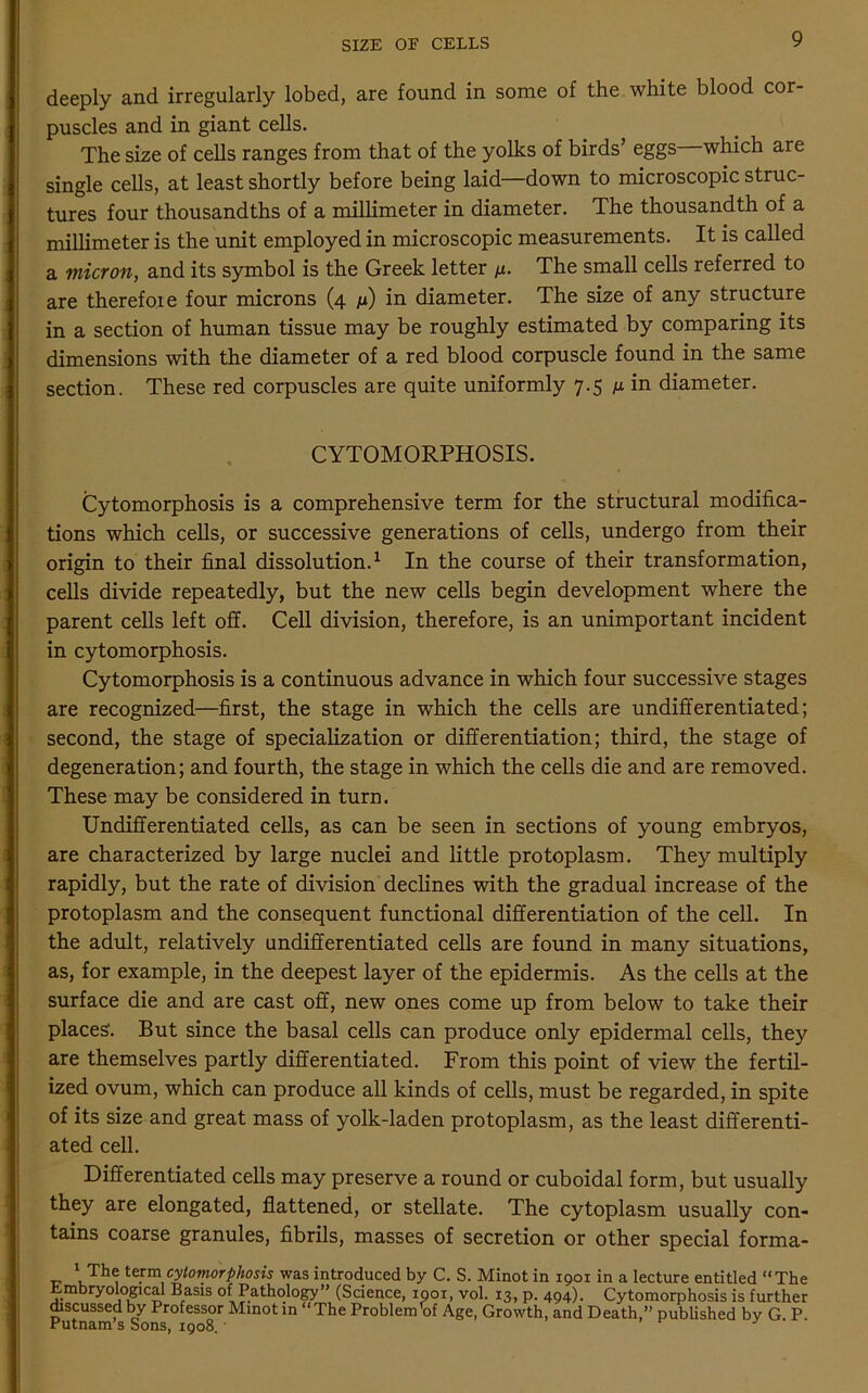 SIZE OE CELLS deeply and irregularly lobed, are found in some of the white blood cor- puscles and in giant cells. The size of cells ranges from that of the yolks of birds’ eggs which are single cells, at least shortly before being laid—down to microscopic struc- tures four thousandths of a millimeter in diameter. The thousandth of a millimeter is the unit employed in microscopic measurements. It is called a micron, and its symbol is the Greek letter /z. The small cells referred to are therefore four microns (4 ju) in diameter. The size of any structure in a section of human tissue may be roughly estimated by comparing its dimensions with the diameter of a red blood corpuscle found in the same section. These red corpuscles are quite uniformly 7.5 m in diameter. CYTOMORPHOSIS. Cytomorphosis is a comprehensive term for the structural modifica- tions which cells, or successive generations of cells, undergo from their origin to their final dissolution.1 In the course of their transformation, cells divide repeatedly, but the new cells begin development where the parent cells left off. Cell division, therefore, is an unimportant incident in cytomorphosis. Cytomorphosis is a continuous advance in which four successive stages are recognized—first, the stage in which the cells are undifferentiated; second, the stage of specialization or differentiation; third, the stage of degeneration; and fourth, the stage in which the cells die and are removed. These may be considered in turn. Undifferentiated cells, as can be seen in sections of young embryos, are characterized by large nuclei and little protoplasm. They multiply rapidly, but the rate of division declines with the gradual increase of the protoplasm and the consequent functional differentiation of the cell. In the adult, relatively undifferentiated cells are found in many situations, as, for example, in the deepest layer of the epidermis. As the cells at the surface die and are cast off, new ones come up from below to take their places'. But since the basal cells can produce only epidermal cells, they are themselves partly differentiated. From this point of view the fertil- ized ovum, which can produce all kinds of cells, must be regarded, in spite of its size and great mass of yolk-laden protoplasm, as the least differenti- ated cell. Differentiated cells may preserve a round or cuboidal form, but usually they are elongated, flattened, or stellate. The cytoplasm usually con- tains coarse granules, fibrils, masses of secretion or other special forma- term cytomorphosis was introduced by C. S. Minot in 1901 in a lecture entitled “The mbryological Basis of Pathology” (Science, 1901, vol. 13, p. 494). Cytomorphosis is further discussed by Professor Minot in “The Problem bf Age, Growth, and Death,” published by G P. Putnam’s Sons, 1908. • J