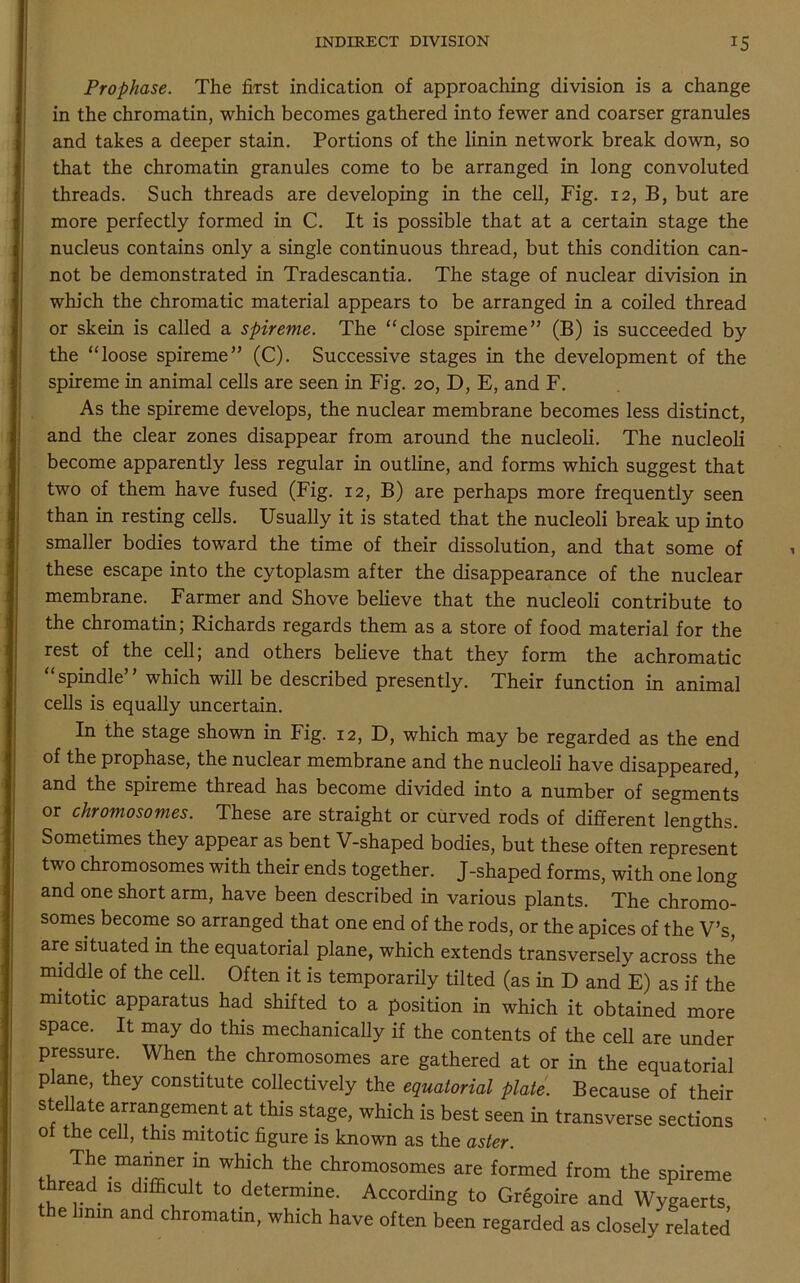 Prophase. The first indication of approaching division is a change in the chromatin, which becomes gathered into fewer and coarser granules and takes a deeper stain. Portions of the linin network break down, so that the chromatin granules come to be arranged in long convoluted threads. Such threads are developing in the cell, Fig. 12, B, but are more perfectly formed in C. It is possible that at a certain stage the nucleus contains only a single continuous thread, but this condition can- not be demonstrated in Tradescantia. The stage of nuclear division in which the chromatic material appears to be arranged in a coiled thread or skein is called a spireme. The “close spireme” (B) is succeeded by the “loose spireme” (C). Successive stages in the development of the spireme in animal cells are seen in Fig. 20, D, E, and F. As the spireme develops, the nuclear membrane becomes less distinct, and the clear zones disappear from around the nucleoli. The nucleoli become apparently less regular in outline, and forms which suggest that two of them have fused (Fig. 12, B) are perhaps more frequently seen than in resting cells. Usually it is stated that the nucleoli break up into smaller bodies toward the time of their dissolution, and that some of these escape into the cytoplasm after the disappearance of the nuclear membrane. Farmer and Shove believe that the nucleoli contribute to the chromatin; Richards regards them as a store of food material for the rest of the cell; and others believe that they form the achromatic “spindle” which will be described presently. Their function in animal cells is equally uncertain. In the stage shown in Fig. 12, D, which may be regarded as the end of the prophase, the nuclear membrane and the nucleoli have disappeared, and the spireme thread has become divided into a number of segments or chromosomes. These are straight or curved rods of different lengths. Sometimes they appear as bent V-shaped bodies, but these often represent two chromosomes with their ends together. J-shaped forms, with one long and one short arm, have been described in various plants. The chromo- somes become so arranged that one end of the rods, or the apices of the V’s, are situated in the equatorial plane, which extends transversely across the middle of the cell. Often it is temporarily tilted (as in D and E) as if the mitotic apparatus had shifted to a position in which it obtained more space. It may do this mechanically if the contents of the cell are under pressure. When the chromosomes are gathered at or in the equatorial p ane, they constitute collectively the equatorial plate. Because of their ste late arrangement at this stage, which is best seen in transverse sections of the cell, this mitotic figure is known as the aster. he manner m which the chromosomes are formed from the spireme thread is difficult to determine. According to Gregoire and Wygaerts the linrn and chromatin, which have often been regarded as closely related
