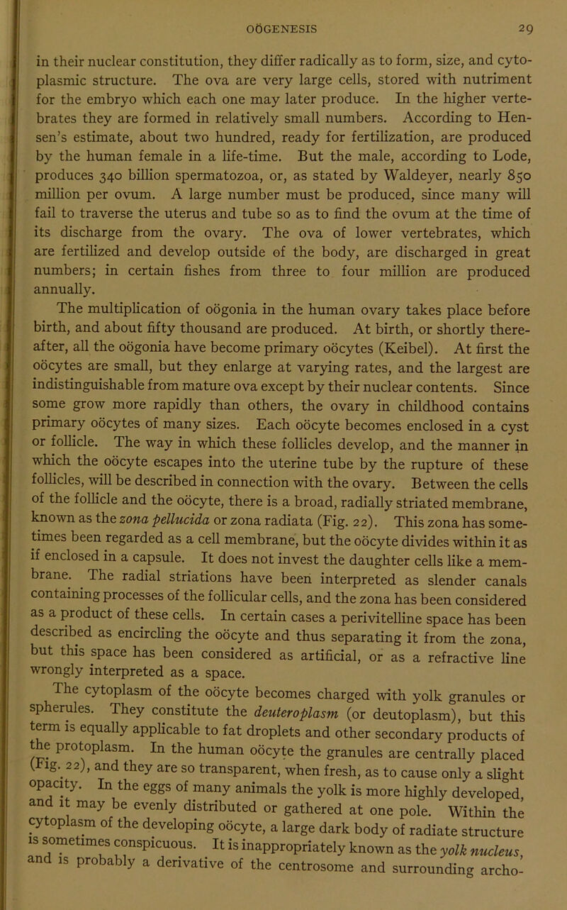 in their nuclear constitution, they differ radically as to form, size, and cyto- plasmic structure. The ova are very large cells, stored with nutriment for the embryo which each one may later produce. In the higher verte- brates they are formed in relatively small numbers. According to Hen- sen’s estimate, about two hundred, ready for fertilization, are produced by the human female in a life-time. But the male, according to Lode, produces 340 billion spermatozoa, or, as stated by Waldeyer, nearly 850 million per ovum. A large number must be produced, since many will fail to traverse the uterus and tube so as to find the ovum at the time of its discharge from the ovary. The ova of lower vertebrates, which are fertilized and develop outside of the body, are discharged in great numbers; in certain fishes from three to four million are produced annually. The multiplication of oogonia in the human ovary takes place before birth, and about fifty thousand are produced. At birth, or shortly there- after, all the oogonia have become primary oocytes (Keibel). At first the oocytes are small, but they enlarge at varying rates, and the largest are indistinguishable from mature ova except by their nuclear contents. Since some grow more rapidly than others, the ovary in childhood contains primary oocytes of many sizes. Each oocyte becomes enclosed in a cyst or follicle. The way in which these follicles develop, and the manner in which the oocyte escapes into the uterine tube by the rupture of these follicles, will be described in connection with the ovary. Between the cells of the follicle and the oocyte, there is a broad, radially striated membrane, known as the zona pellucida or zona radiata (Fig. 22). This zona has some- times been regarded as a cell membrane, but the oocyte divides within it as if enclosed in a capsule. It does not invest the daughter cells like a mem- brane. The radial striations have been interpreted as slender canals containing processes of the follicular cells, and the zona has been considered as a product of these cells. In certain cases a perivitelline space has been described as encircling the oocyte and thus separating it from the zona, but this space has been considered as artificial, or as a refractive line wrongly interpreted as a space. The cytoplasm of the oocyte becomes charged with yolk granules or spherules. They constitute the deuteroplasm (or deutoplasm), but this term is equally applicable to fat droplets and other secondary products of the protoplasm. In the human oocyte the granules are centrally placed ( ig. 22), and they are so transparent, when fresh, as to cause only a slight opacity. In the eggs of many animals the yolk is more highly developed and it may be evenly distributed or gathered at one pole. Within the cytoplasm of the developing oocyte, a large dark body of radiate structure is sometimes conspicuous. It is inappropriately known as the yolk nucleus, an is probably a derivative of the centrosome and surrounding archo-