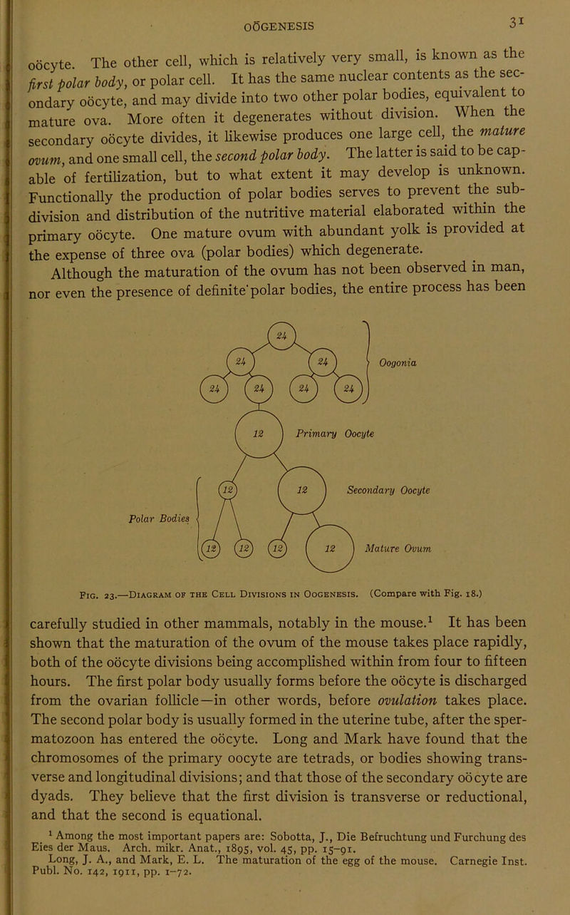oocyte. The other cell, which is relatively very small, is known as the first polar body, or polar cell. It has the same nuclear contents as the sec- ondary oocyte, and may divide into two other polar bodies, equivalent to mature ova. More often it degenerates without division. When the secondary oocyte divides, it likewise produces one large cell,, the mature ovum, and one small cell, the second polar body. The latter is said to be cap- able of fertilization, but to what extent it may develop is unknown. Functionally the production of polar bodies serves to prevent the sub- division and distribution of the nutritive material elaborated within the primary oocyte. One mature ovum with abundant yolk is provided at the expense of three ova (polar bodies) which degenerate. Although the maturation of the ovum has not been observed in man, nor even the presence of definite'polar bodies, the entire process has been Fig. 23.—Diagram of the Cell Divisions in Oogenesis. (Compare with Fig. 18.) carefully studied in other mammals, notably in the mouse.1 It has been shown that the maturation of the ovum of the mouse takes place rapidly, both of the oocyte divisions being accomplished within from four to fifteen hours. The first polar body usually forms before the oocyte is discharged from the ovarian follicle—in other words, before ovulation takes place. The second polar body is usually formed in the uterine tube, after the sper- matozoon has entered the oocyte. Long and Mark have found that the chromosomes of the primary oocyte are tetrads, or bodies showing trans- verse and longitudinal divisions; and that those of the secondary oocyte are dyads. They believe that the first division is transverse or reductional, and that the second is equational. 1 Among the most important papers are: Sobotta, J., Die Befruchtung und Furchung des Eies der Maus. Arch. mikr. Anat., 1895, vol. 45, pp. 15-91. Long, J. A., and Mark, E. L. The maturation of the egg of the mouse. Carnegie Inst.