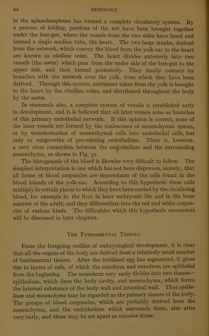 in the splanchnopleure has formed a complete circulatory system. By a process of folding, portions of the net have been brought together under the fore-gut, where the vessels from the two sides have fused and formed a single median tube, the heart. The two large trunks, derived from the network, which convey the blood from the yolk-sac to the heart are known as vitelline veins. The heart divides anteriorly into two vessels (the aortce) which pass from the under side of the fore-gut to the upper side, and then extend posteriorly. They finally connect by branches with the network over the yolk, from which they have been derived. Through this system, nutriment taken from the yolk is brought to the heart by the vitelline veins, and distributed throughout the body by the aortae. In mammals also, a complete system of vessels is established early in development, and it is believed that all later vessels arise as branches of this primary endothelial network. If this opinion is correct, none of the later vessels are formed by the coalescence of mesenchymal spaces, or by transformation of mesenchymal cells into endothelial cells, but only as outgrowths of pre-existing endothelium. There is, however, a very close connection between the endothelium and the surrounding mesenchyma, as shown in Fig. 31. The histogenesis of the blood is likewise very difficult to follow. The simplest interpretation is one which has not been disproven, namely, that all forms of blood corpuscles are descendants of the cells found in the blood islands of the yolk-sac. According to this hypothesis these cells multiply in certain places to which they have been carried by the circulating blood, for example in the liver in later embryonic life and in the bone marrow of the adult; and they differentiate into the red and white corpus- cles of various kinds. The difficulties which this hypothesis encounters will be discussed in later chapters. The Fundamental Tissues. From the foregoing outline of embryological development, it is clear that all the organs of the body are derived from a relatively small number of fundamental tissues. After the fertilized egg has segmented, it gives rise to layers of cells, of which the ectoderm and entoderm are epithelial from the beginning. The mesoderm very early divides into two tissues epithelium, which lines the body cavity, and mesenchyma, which forms the internal substance of the body wall and intestinal wall. Thus epithe- lium and mesenchyma may be regarded as the primary tissues of the body. The groups of blood corpuscles, which are probably derived from the mesenchyma, and the endothelium which surrounds them, also arise very-'early, and these may be set apart as vascular tissue.