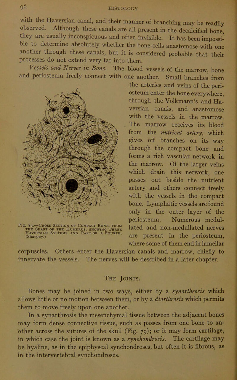with the Haversian canal, and their manner of branching may be readily observed. Although these canals are all present in the decalcified bone, they are usually inconspicuous and often invisible. It has been impossi- ble to determine absolutely whether the bone-cells anastomose with one another through these canals, but it is considered probable that their processes do not extend very far into them. Vessels and Nerves in Bone. The blood vessels of the marrow, bone and periosteum freely connect with one another. Small branches from corpuscles. Others enter the Haversian canals and marrow, chiefly to innervate the vessels. The nerves wall be described in a later chapter. Bones may be joined in two ways, either by a synarthrosis which allows little or no motion between them, or by a diarthrosis which permits them to move freely upon one another. In a synarthrosis the mesenchymal tissue between the adjacent bones may form dense connective tissue, such as passes from one bone to an- other across the sutures of the skull (Fig. 79); or it may form cartilage, in wdiich case the joint is known as a synchondrosis. The cartilage may be hyaline, as in the epiphyseal synchondroses, but often it is fibrous, as in the intervertebral synchondroses. Fig. 83.—Cross Section of Compact Bone, from the Shaft of the Humerus, showing Three Haversian Systems and Part of a Fourth . (Sharpey.) the arteries and veins of the peri- osteum enter the bone everywhere, through the Volkmann’s and Ha- versian canals, and anastomose wdth the vessels in the marrow. The marrow receives its blood from the nutrient artery, which gives off branches on its way through the compact bone and forms a rich vascular network in the marrow. Of the larger veins which drain this network, one passes out beside the nutrient artery and others connect freely with the vessels in the compact bone. Lymphatic vessels are found only in the outer layer of the periosteum. Numerous medul- lated and non-medullated nerves are present in the periosteum, where some of them end in lamellar The Joints.