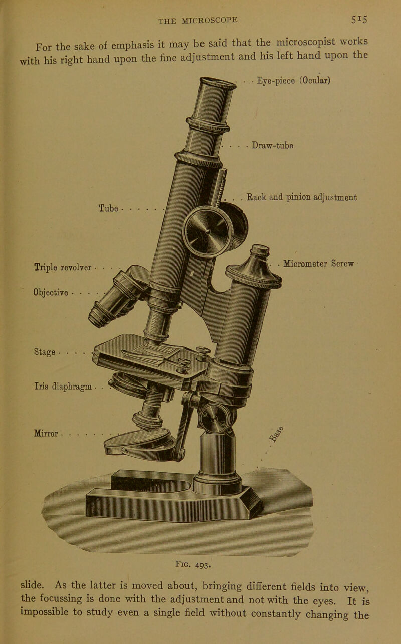 For the sake of emphasis it may be said that the microscopist works with his right hand upon the fine adjustment and his left hand upon the Tube Ins diaphragm • • Eye-piece (Ocular) Triple revolver Objective • • • Mirror • • Draw-tube Rack and pinion adjustment Micrometer Screw Fig. 493. slide. As the latter is moved about, bringing different fields into view, the focussing is done with the adjustment and not with the eyes. It is impossible to study even a single field without constantly changing the