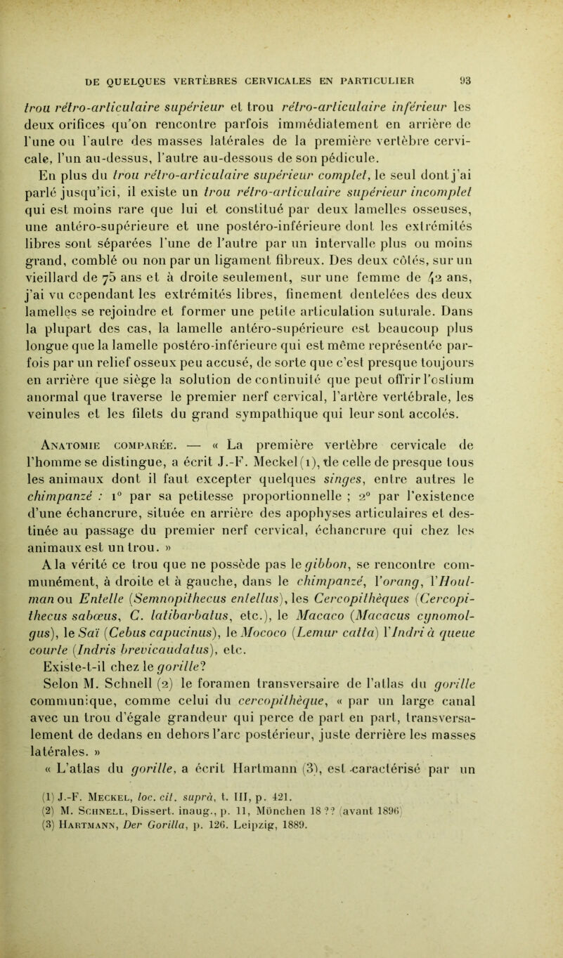 trou rétro-articulaire supérieur et trou rétro-articulaire inférieur les deux orifices qu’on rencontre parfois imniédiatement en arrière de Tune ou l’aulre des masses latérales de la première vertèbre cervi- cale, l’un au-dessus, l’autre au-dessous de son pédicule. En plus du trou rétro-articulaire supérieur complet, le seul dont j’ai parlé jusqu’ici, il existe un trou rétro-articulaire supérieur incomplet qui est moins rare que lui et constitué par deux lamelles osseuses, une antéro-supérieure et une postéro-inférieure dont les extrémités libres sont séparées l’une de l’autre par un intervalle plus ou moins grand, comblé ou non par un ligament fibreux. Des deux côtés, sur un vieillard de 7b ans et à droite seulement, sur une femme de ans, j’ai vu cependant les extrémités libres, finement dentelées des deux lamelles se rejoindre et former une petite articulation suturale. Dans la plupart des cas, la lamelle antéro-supérieure est beaucoup plus longue que la lamelle postéro-inférieure qui est même représentée par- fois par un relief osseux peu accusé, de sorte que c’est presque toujours en arrière que siège la solution de continuité que peut offrir l’ostium anormal que traverse le premier nerf cervical, l’artère vertébrale, les veinules et les filets du grand sympathique qui leur sont accolés. Anatomie comparée. — « La première vertèbre cervicale de l’homme se distingue, a écrit J.-F. Meckel(i), tle celle de presque tous les animaux dont il faut excepter quelques singes, entre autres le chimpanzé : 1° par sa petitesse proportionnelle ; 2° par l’existence d’une échancrure, située en arrière des apophyses articulaires et des- tinée au passage du premier nerf cervical, échancrure qui chez les animaux est un trou. » A la vérité ce trou que ne possède pas \e gibbon, se rencontre com- munément, à droite et à gauche, dans le chimpanzé, Vorang, VHoul- manon Entelle [Semnopithecus enlellus),\Qs Cercopithèques (Cercopi- thecus sabœiis, C. latibarbalus, etc.), le Macaco {Macacus cgnomol- gus), le5aï [Cebiis capucinus), \qMococo {Lemiir catta) VIndri à queue courte [Indris brevicaudatus), etc. Existe-t-il chez le gorille'! Selon M. Schnell (2) le foramen transversaire de l’atlas du gorille communique, comme celui du cercopithèque, « par un large canal avec un trou d’égale grandeur qui perce de part en part, transversa- lement de dedans en dehors l’arc postérieur, juste derrière les masses latérales. » « L’atlas du gorille, a écrit Hartmann (3), est-caractérisé par un (1) J.-F. Meckel, loc.cit. suprà, t. III, p. -121. (2) M. Schnell, Dissert, inaug., p. 11, München 18 ?? (avant 189()) (3) Hartmann, Der Gorilla, p. 126. Leipzig, 1889.