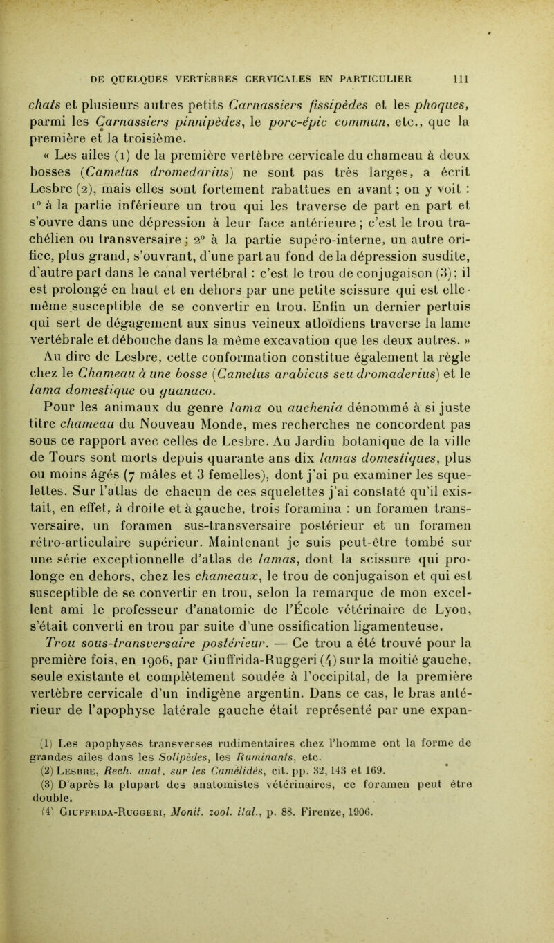 chats et plusieurs autres petits Carnassiers fissipèdes et les phoques, parmi les Carnassiers pinnipèdes^ le porc-épic commun, etc., que la première et la troisième. « Les ailes (i) de la première vertèbre cervicale du chameau à deux bosses (Camelus dromedarius) ne sont pas très larges, a écrit Lesbre (2), mais elles sont fortement rabattues en avant ; on y voit : à la partie inférieure un trou qui les traverse de part en part et s’ouvre dans une dépression à leur face antérieure ; c’est le trou tra- chélien ou transversaire; 2^ à la partie supcro-interne, un autre ori- fice, plus grand, s’ouvrant, d’une part au fond de la dépression susdite, d’autre part dans le canal vertébral : c’est le trou de conjugaison (3); il est prolongé en haut et en dehors par une petite scissure qui est elle- même susceptible de se convertir en trou. Enfin un dernier pertuis qui sert de dégagement aux sinus veineux atloïdiens traverse la lame vertébrale et débouche dans la même excavation que les deux autres. » Au dire de Lesbre, cette conformation constitue également la règle chez le Chameau à une bosse [Camelus arabicus seii dromaderius) et le lama domestique ou guanaco. Pour les animaux du genre lama ou auchenia dénommé à si juste titre chameau du Nouveau Monde, mes recherches ne concordent pas sous ce rapport avec celles de Lesbre. Au Jardin botanique de la ville de Tours sont morts depuis quarante ans dix lamas domestiques, plus ou moins âgés (7 mâles et 3 femelles), dont j’ai pu examiner les sque- lettes. Sur l’atlas de chacun de ces squelettes j’ai constaté qu’il exis- tait, en effet, à droite et à gauche, trois foramina : un foramen trans- versaire, un foramen sus-transversaire postérieur et un foramen rétro-articulaire supérieur. Maintenant je suis peut-être tombé sur une série exceptionnelle d’atlas de lamas, dont la scissure qui pro- longe en dehors, chez les chameaux, le trou de conjugaison et qui est susceptible de se convertir en trou, selon la remarque de mon excel- lent ami le professeur d’anatomie de l’École vétérinaire de Lyon, s’était converti en trou par suite d’une ossification ligamenteuse. Trou sous-transversaire postérieur. — Ce trou a été trouvé pour la première fois, en 1906, par Giuffrida-Ruggeri (4) sur la moitié gauche, seule existante et complètement soudée à l’occipital, de la première vertèbre cervicale d’un indigène argentin. Dans ce cas, le bras anté- rieur de l’apophyse latérale gauche était représenté par une expan- (1) Les apophyses transverses rudimentaires chez l’homme ont la forme de grandes ailes dans les Solipèdes, les Ruminants, etc. (2) Lesbre, Rech. anat. sur les Camélidés, cit. pp. 32,143 et 169. (3) D’après la plupart des anatomistes vétérinaires, ce foramen peut être double. (4'i Giuffrida-Ruggeri, Monil. zool. ilaU, p. 88. Firenze, 1906.