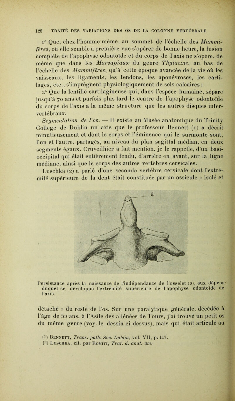 1® Que, chez l’homme même, au sommet de l’échelle des Mammi- fères^ où elle semble à première vue s’opérer de bonne heure, la fusion complète de l’apophyse odontoïde et du corps de l’axis ne s’opère, de même que dans les Marsupiaux du genre Thylacine, au bas de l’échelle des Mammifères, qu’à cette époque avancée de la vie où les vaisseaux, les ligaments, les tendons, les aponévroses, les carti- lages, etc., s’imprègnent physiologiquement de sels calcaires; 2° Que la lentille cartilagineuse qui, dans l’espèce humaine, sépare jusqu’à 70 ans et parfois plus tard le centre de l’apophyse odontoïde du corps de l’axis a la même structure que les autres disques inter- vertébraux. Segmentation de Vos. — Il existe au Musée anatomique du Trinity College de Dublin un axis que le professeur Bennett (1) a décrit minutieusement et dont le corps et l’éminence qui le surmonte sont, l’un et l’autre, partagés, au niveau du plan sagittal médian, en deux segments égaux. Cruveilhier a fait mention, je le rappelle, d’un basi- occipital qui était entièrement fendu, d’arrière en avant, sur la ligne médiane, ainsi que le corps des autres vertèbres cervicales. Luschka (2) a parlé d’une seconde vertèbre cervicale dont l’extré- mité supérieure de la dent était constituée par un ossicule « isolé et Persistance après la naissance de l’indépendance de l’osselet (a), aux dépens' duquel se développe l’extrémité supérieure de l’apophyse odontoïde de l’axis. détaché » du reste de l’os. Sur une paralytique générale, décédée à l’âge de 52 ans, à l’Asile des aliénées de Tours, j’ai trouvé un petit os du même genre (voy. le dessin ci-dessus), mais qui était articulé au (1) Bennett, Trans. path. Soc. Dublin, vol. VII, p. 117. (2) Luschka, cit. par Romiti, Trat. d. anal. uni.