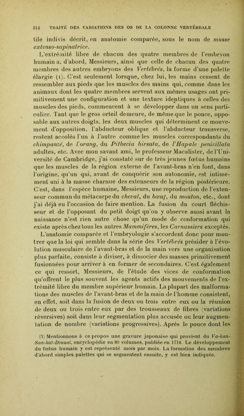 üle indivis décrit, en analomie comparée, sous le nom de masse extenso-supinatrice. L’extrémité libre de chacun des quatre membres de l’embryon humain a. d’abord. Messieurs, ainsi que celle de chacun des quatre membres des autres embryons des Vertébrés, la forme d’une palette élargie (i). C’est seulement lorsque, chez lui, les mains cessent de ressembler aux pieds que les muscles des mains qui, comme dans les animaux dont les quatre membres servent aux mêmes usages ont pri- mitivement une configuration et une texture identiques à celles des muscles des pieds, commencent à se développer dans un sens parti- culier. Tant que le gros orteil demeure, de même que le pouce, oppo- sable aux autres doigts, les deux muscles qui déterminent ce mouve- ment d’opposition, l’abducteur oblique et l’abducteur transverse, restent accolés l’un à l’autre comme les muscles correspondants du chimpanzé, de iorang, du Pithecia hirsuta, de VHapale penicillala adultes, etc. Avec mon savant ami, le professeur Macalisler, de l’Uni- versité de Cambridge, j’ai constaté sur de très jeunes fœtus humains que les muscles de la région externe de l’avant-bras n’en font, dans l’origine, qu’un qui, avant de conquérir son autonomie, est intime- ment uni à la masse charnue des extenseurs de la région postérieure. C'est, dans l’espèce humaine, Messieurs, une reproduction de l’exten- seur commun du métacarpe du cheval, du bœuf, du mouton, etc., dont j’ai déjà eu l’occasion de faire mention. La fusion du court fléchis- seur et de Topposant du petit doigt qu’on y observe aussi avant la naissance n’est rien autre chose qu’un mode de conformation qui existe après chez tous les dMivQS> Mammifères, les Carnassiers exceptés. L’anatomie comparée et l’embryologie s’accordent donc pour mon- trer que la loi qui semble dans la série des Vertébrés présider à l’évo- lution musculaire de l’avant-bras et de la main vers une organisation plus parfaite, consiste à diviser, à dissocier des masses primitivement fusionnées pour arriver à en former de secondaires. C’est également ce qui ressort, Messieurs, de l’étude des vices de conformation qu’offrent le plus souvent les agents actifs des mouvements de l’ex- trémité libre du membre supérieur humain. La plupart des malforma- tions des muscles de l’avant-bras et de la main de l’homme consistent, en effet, soit dans la fusion de deux ou trois entre eux ou la réunion de deux ou trois entre eux par des trousseaux de fibres (variations réversives) soit dans leur segmentation plus accusée ou leur augmen- tation de nombre (variations progressives). Après le pouce dont les (1) Mentionnons à ce propos une gravure japonaise qui provient du Va-kan- San-kaï-Dzouai, encyclopédie en 80 volumes, publiée en 1714. Le développement du fœtus humain y est représenté mois par mois. La formation des membres d’abord simples palettes qui se segmentent ensuite, y est bien indiquée.