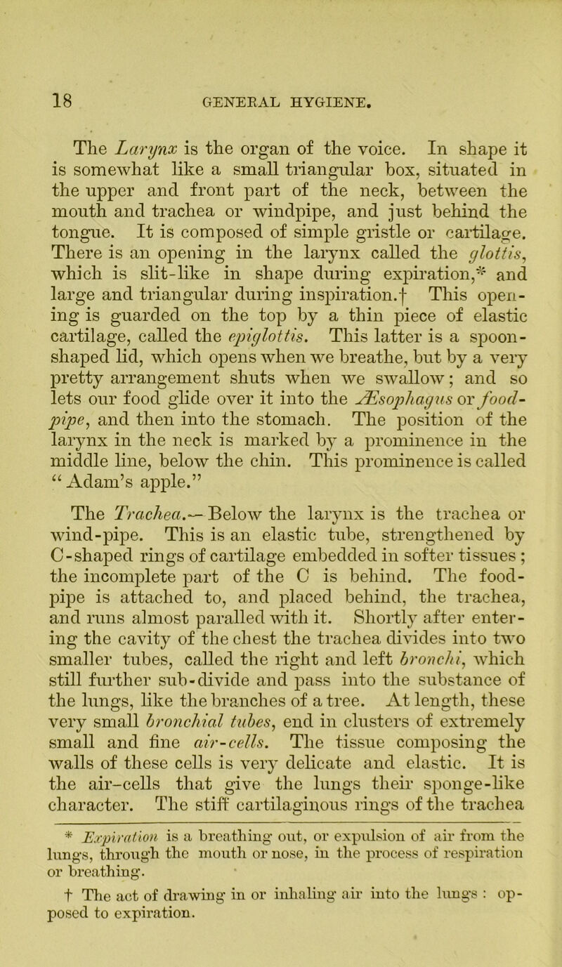 The Larynx is the organ of the voice. In shape it is somewhat like a small triangular box, situated in the upper and front part of the neck, between the mouth and trachea or windpipe, and just behind the tongue. It is composed of simple gristle or cartilage. There is an opening in the larynx called the glottis, which is slit-like in shape during expiration,* and large and triangular during inspiration.! This open- ing is guarded on the top by a thin piece of elastic cartilage, called the epiglottis. This latter is a spoon- shaped lid, which opens when we breathe, but by a very pretty arrangement shuts when we swallow; and so lets our food glide over it into the JEsopliagus or food- pipe, and then into the stomach. The position of the larynx in the neck is marked by a prominence in the middle line, below the chin. This prominence is called “ Adam’s apple.” The Trachea.— Below the larynx is the trachea or wind-pipe. This is an elastic tube, strengthened by C-shaped rings of cartilage embedded in softer tissues ; the incomplete part of the C is behind. The food- pipe is attached to, and placed behind, the trachea, and runs almost paralled with it. Shortly after enter- ing the cavity of the chest the trachea divides into two smaller tubes, called the right and left bronchi, which still further sub-divide and pass into the substance of the lungs, like the branches of a tree. At length, these very small bronchial tubes, end in clusters of extremely small and fine air-cells. The tissue composing the Avails of these cells is very delicate and elastic. It is the air-cells that give the lungs their sponge-like character. The stiff cartilaginous rings of the trachea * Expiration is a breathing out, or expulsion of air from the lungs, through the mouth or nose, in the process of respiration or breathing. t The act of drawing in or inhaling air into the lungs : op- posed to expiration.