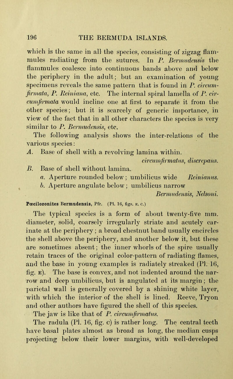 which is the same in all the species, consisting of zigzag flam- mules radiating from the sutures. In P. Bermudensis the flammules coalesce into continuous bands above and below the periphery in the adult; but an examination of young- specimens reveals the same pattern that is found in P. circum- firmata, P. Reiniana, etc. The internal spiral lamella of P. cir- cumfirmata would incline one at first to separate it from the other species; but it is scarcely of generic importance, in view of the fact that in all other characters the species is very similar to P. Bermudensis, etc. The following analysis shows the inter-relations of the various species: A. Base of shell with a revolving lamina within. circumfirmatus, discrepans. B. Base of shell without lamina. a. Aperture rounded below; umbilicus wide Reinianus. b. Aperture angulate below; umbilicus narrow Bermudensis, Nelsoni. Pcecilozonites Bermudensis, Pfr. (PI. 16, figs. e. c.) The t}rpical species is a form of about twenty-five mm. diameter, solid, coarsely irregularly striate and acutely car- inate at the periphery; a broad chestnut band usually encircles the shell above the periphery, and another below it, but these are sometimes absent; the inner whorls of the spire usually retain traces of the original color-pattern of radiating flames, and the base in young examples is radiately streaked (PI. 16, fig. e). The base is convex, and not indented around the nar- row and deep umbilicus, but is angulated at its margin ; the parietal wall is generally covered by a shining white layer, with which the interior of the shell is lined. Reeve, Tryon and other authors have figured the shell of this species. The jaw is like that of P. circumfirmatus. The radula (PI. 16, fig. c) is rather long. The central teeth have basal plates almost as broad as long, the median cusps projecting below their lower margins, with -well-developed